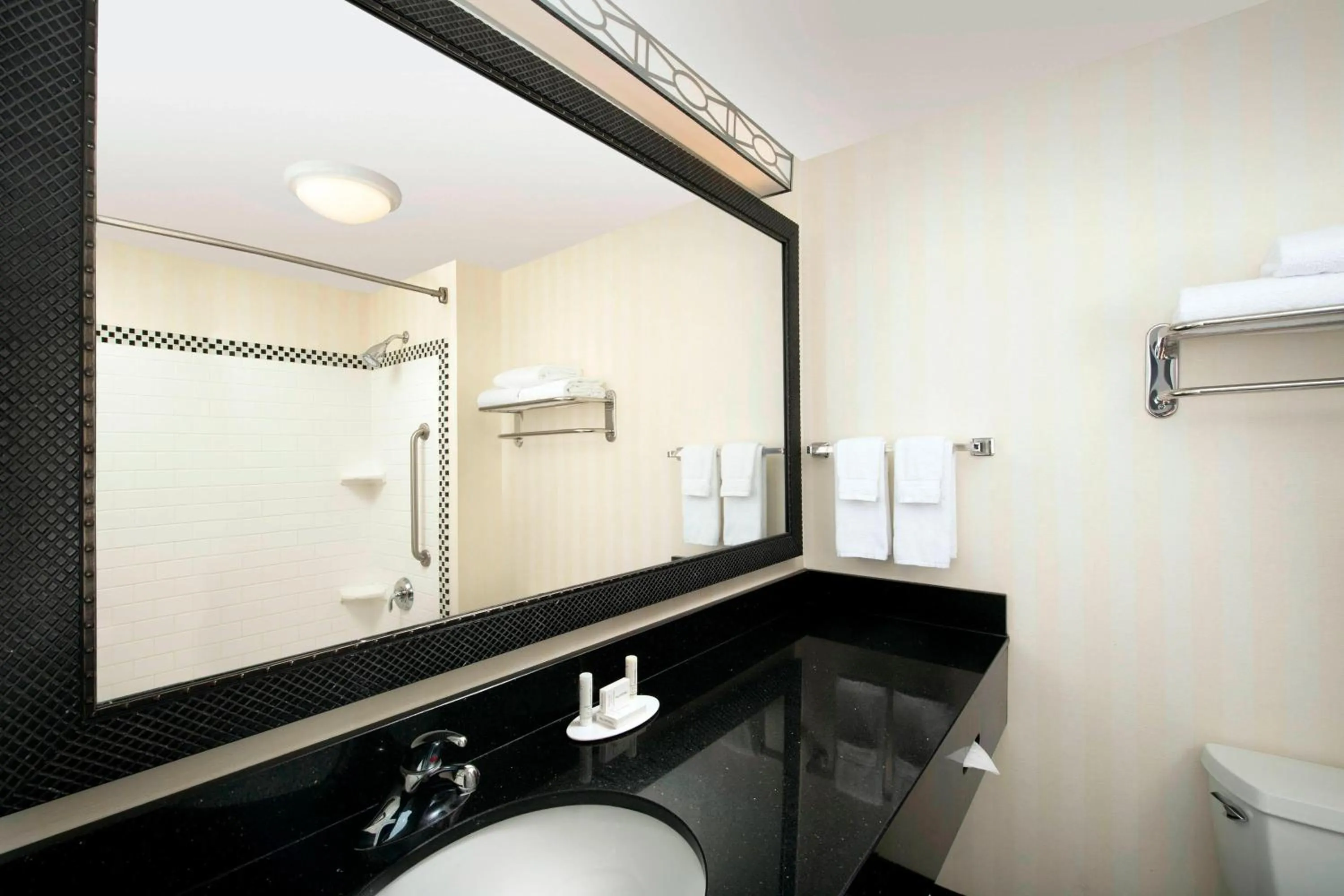 Bathroom in Fairfield Inn & Suites by Marriott Miami Airport South