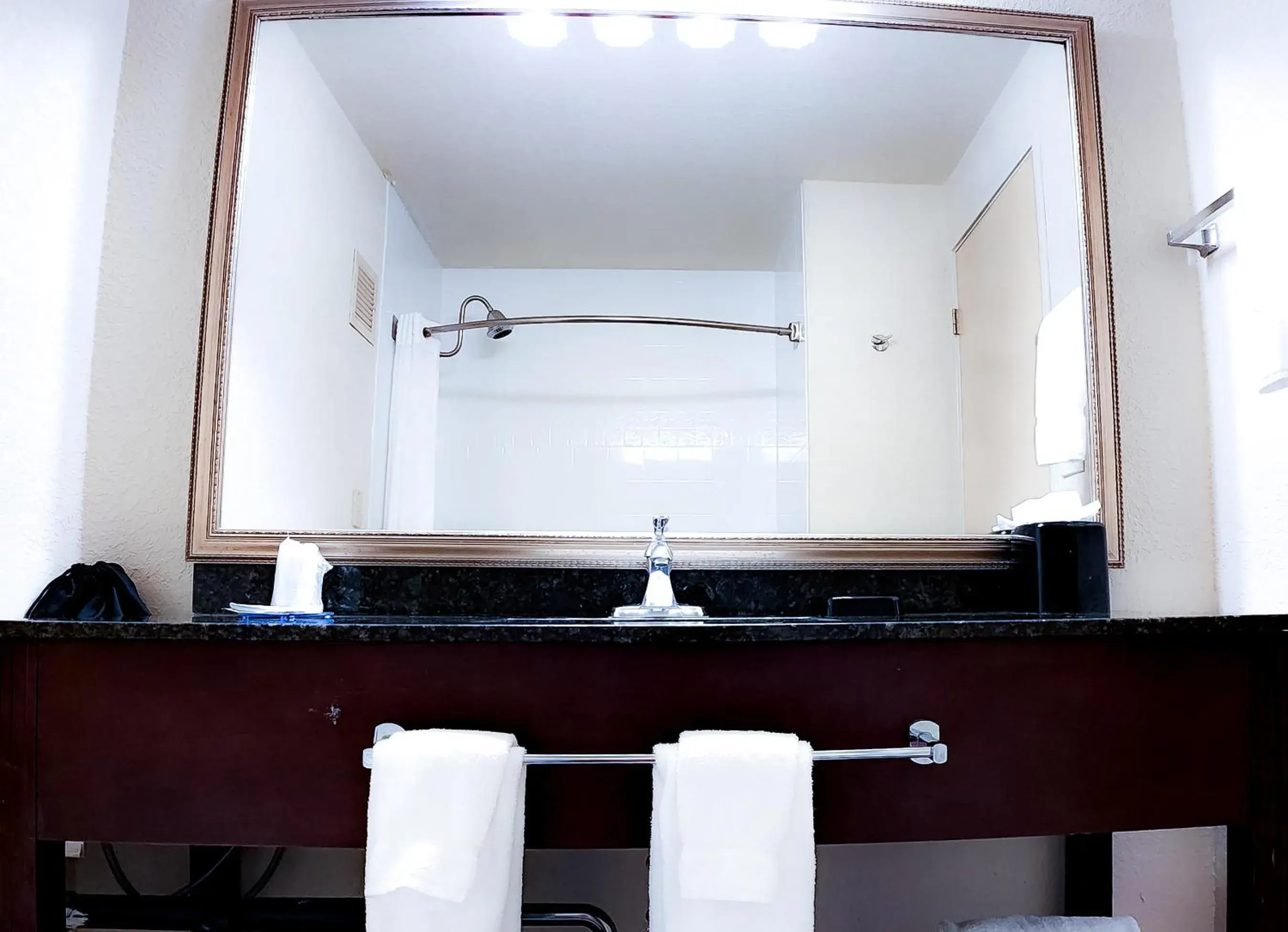 2 Queen Beds, Dog-Friendly Room, Non-Smoking in Seville Plaza Hotel, Trademark Collection by Wyndham 2 Queen Beds, Dog-Friendly Room, Non-Smoking in Seville Plaza Hotel, Trademark Collection by Wyndham