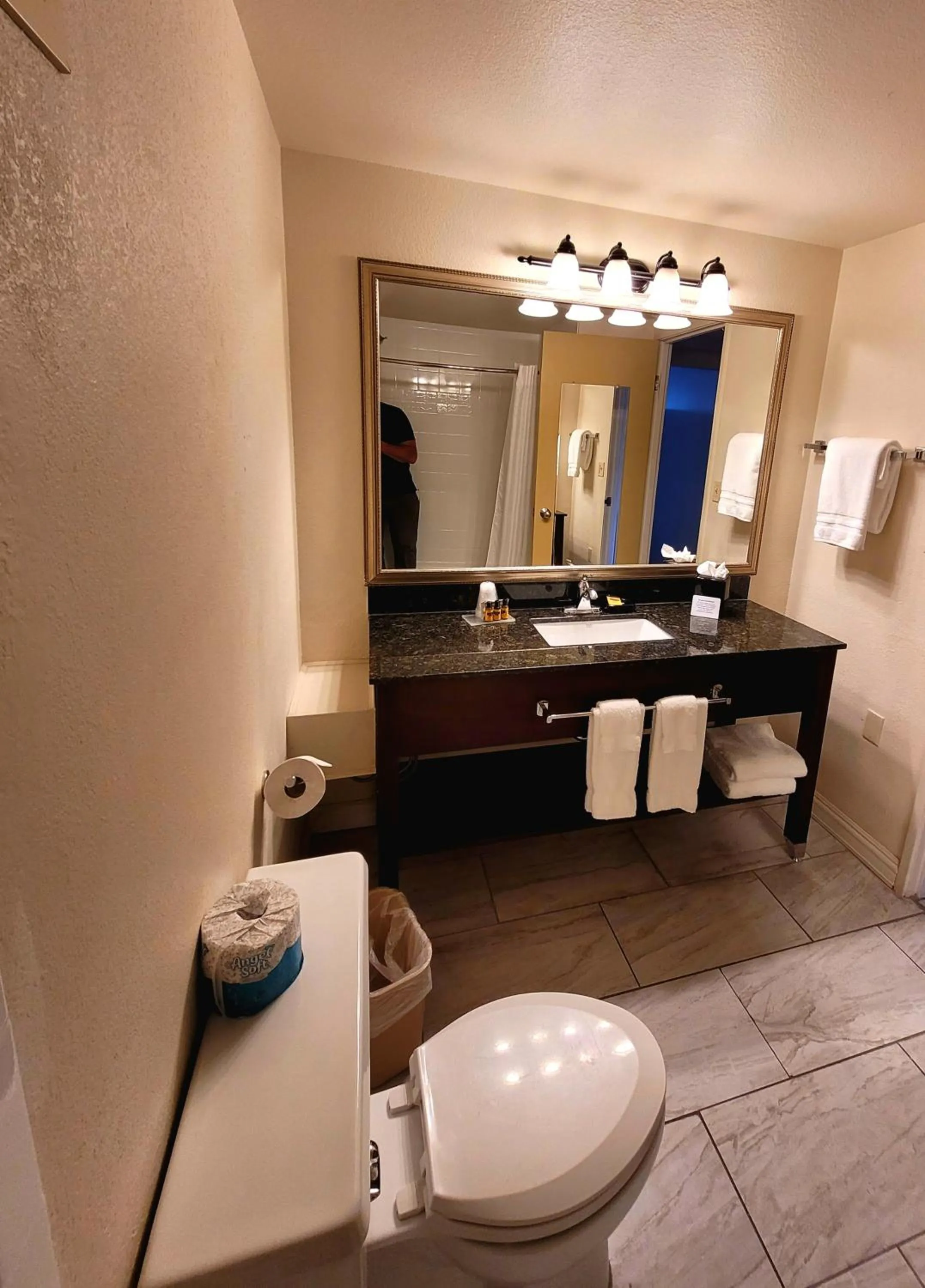 Bathroom in Seville Plaza Hotel, Trademark Collection by Wyndham