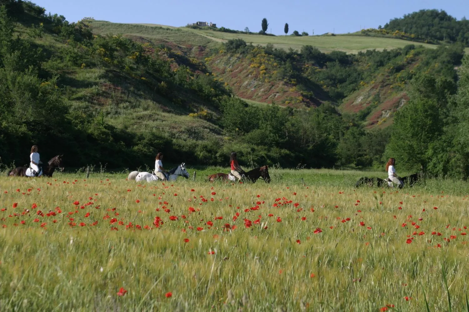 Horse-riding in Il Poggio