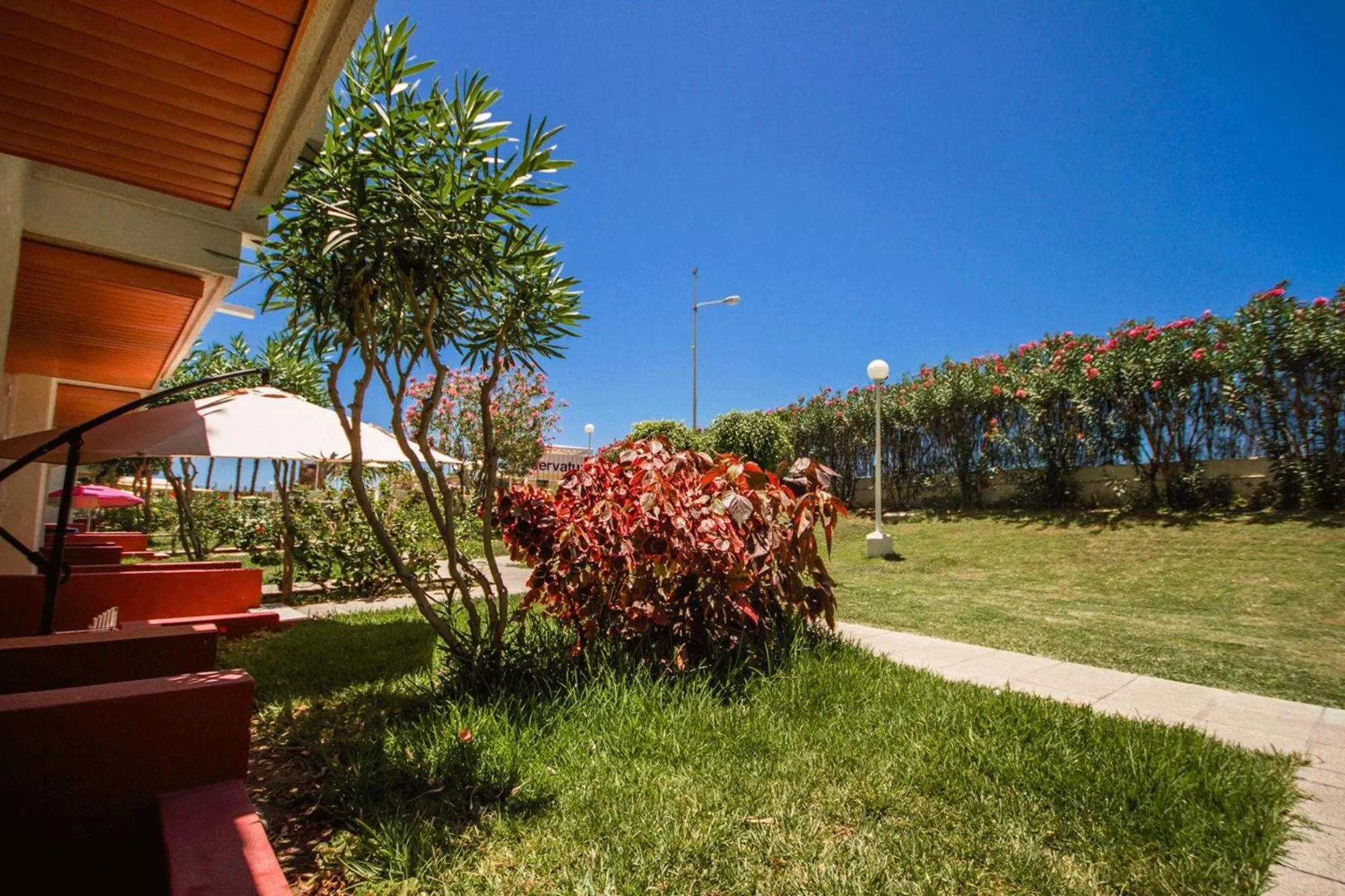 Photo of the whole room in Servatur Green Beach