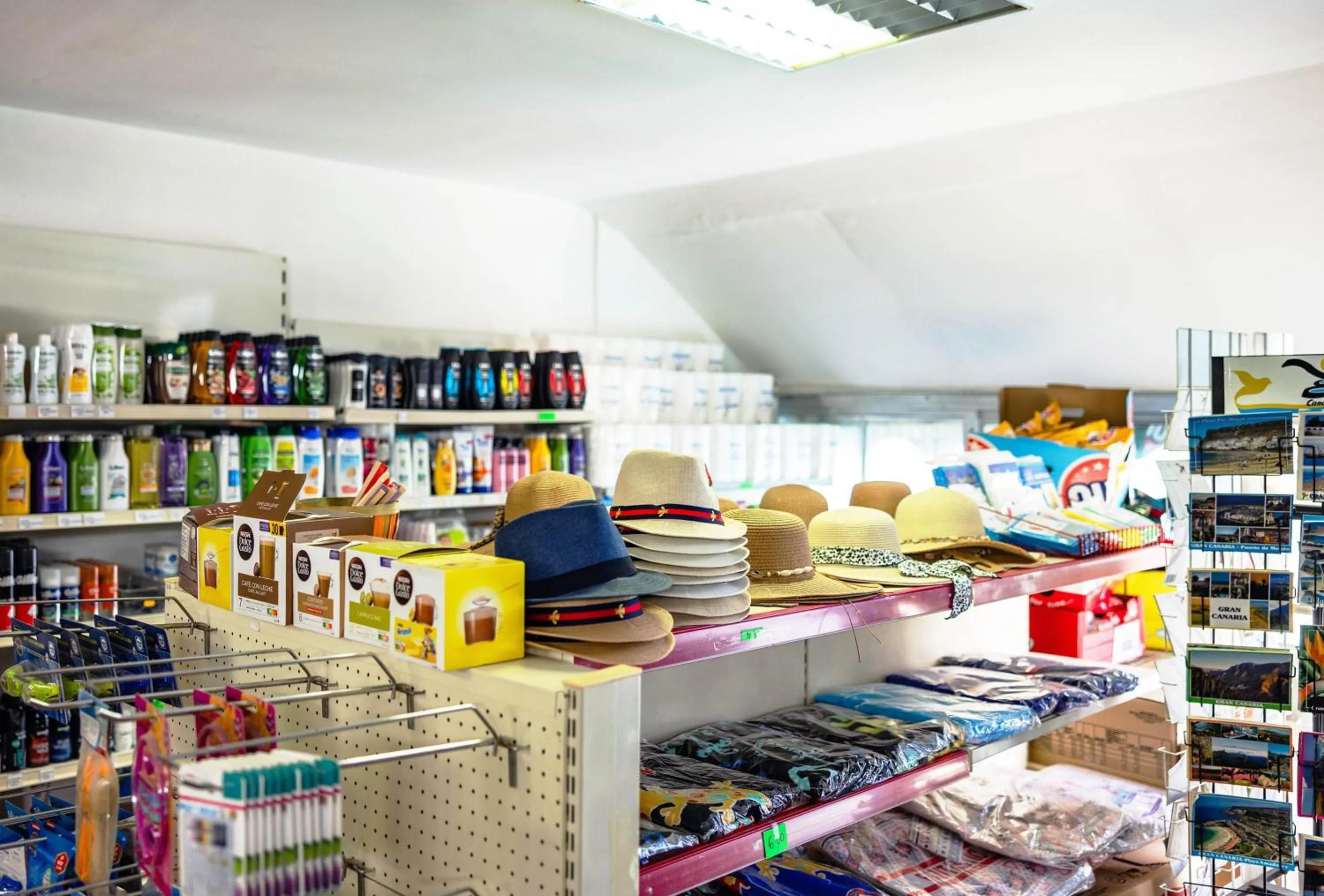 Activities in Servatur Montebello