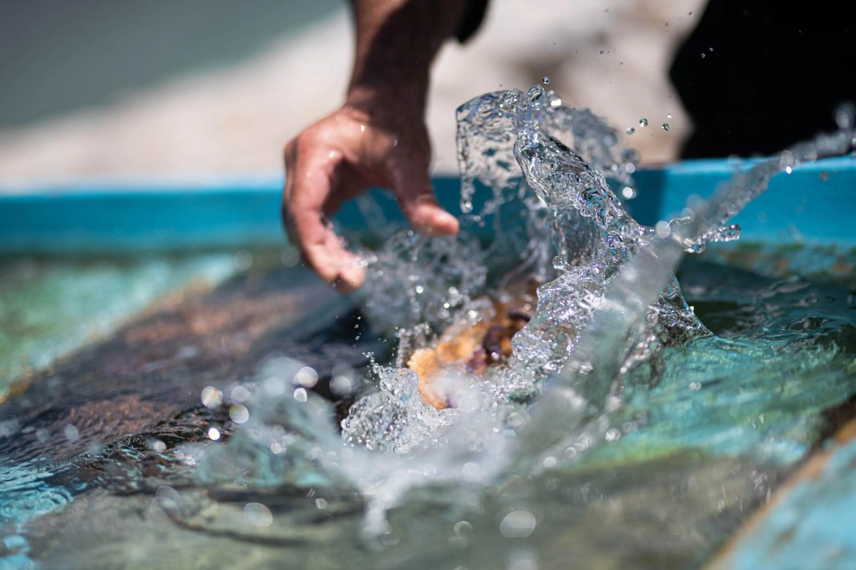 Restaurant/places to eat in Petra & Fos Boutique Hotel & Spa