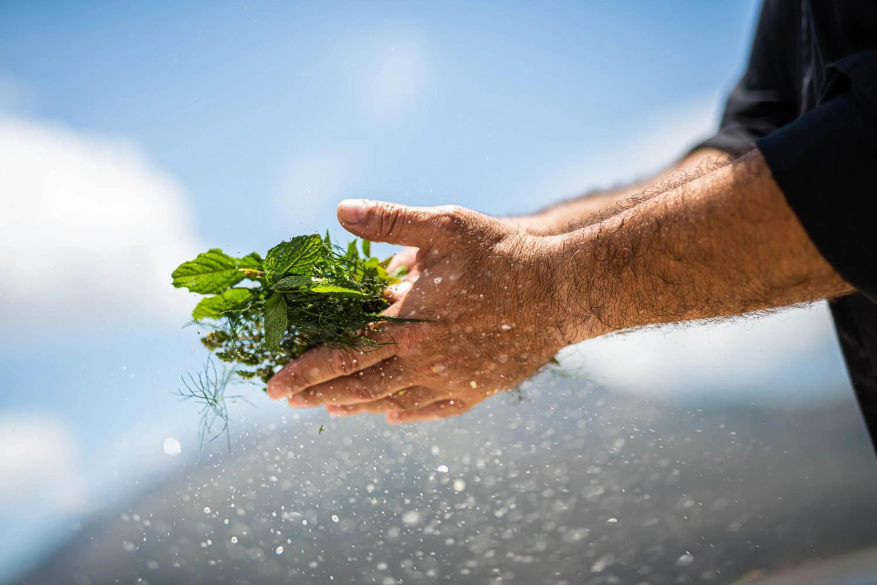 Restaurant/places to eat in Petra & Fos Boutique Hotel & Spa