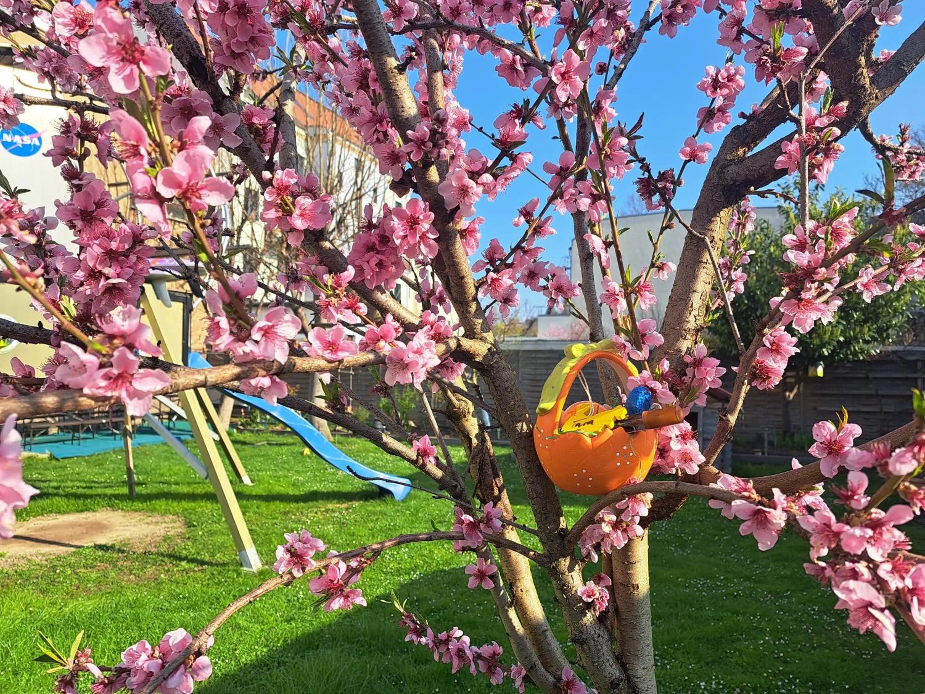 Garden in Space Hotel im Campus der JvP Schule