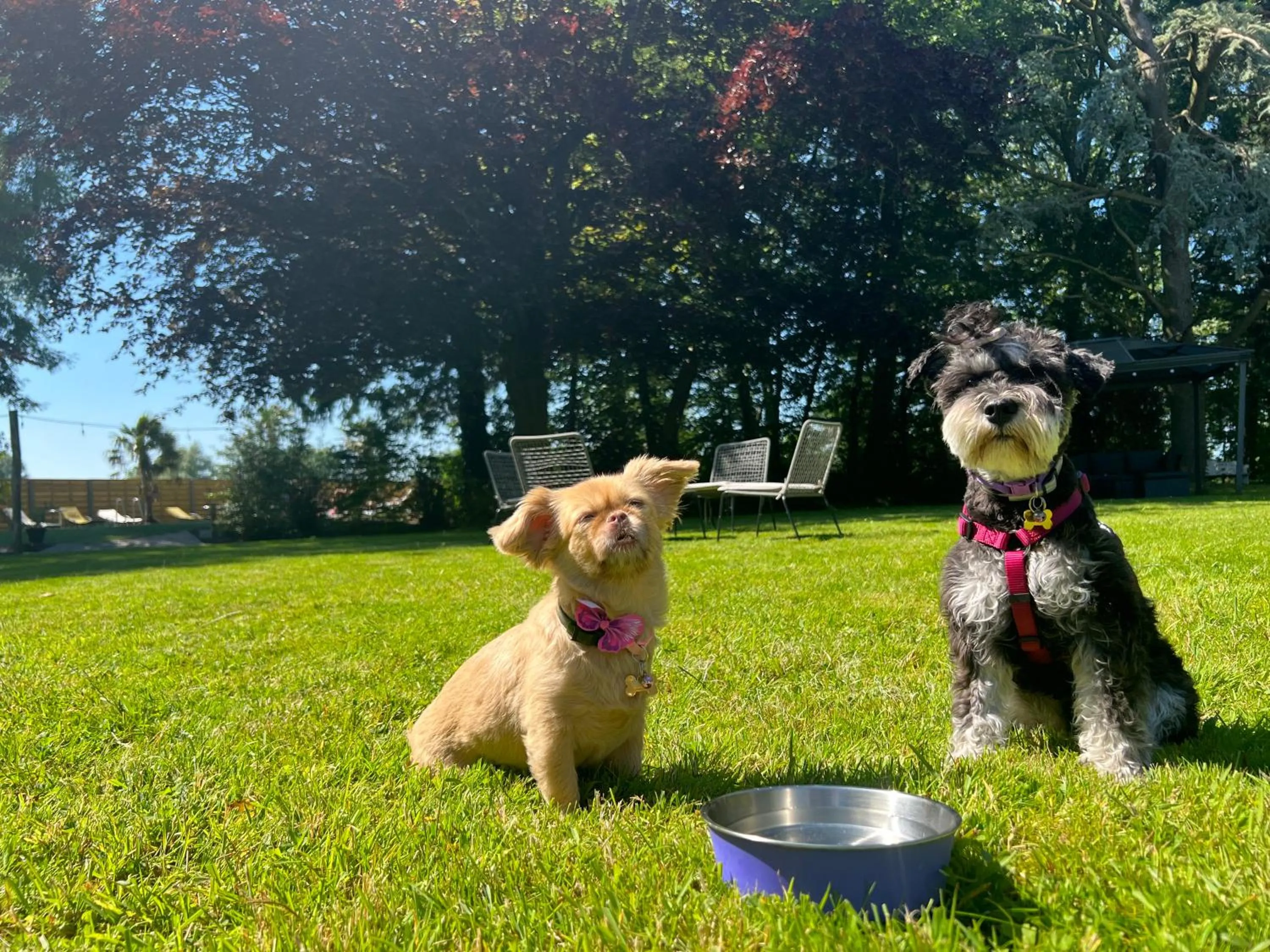 Day in Hotel Fleur de Lys