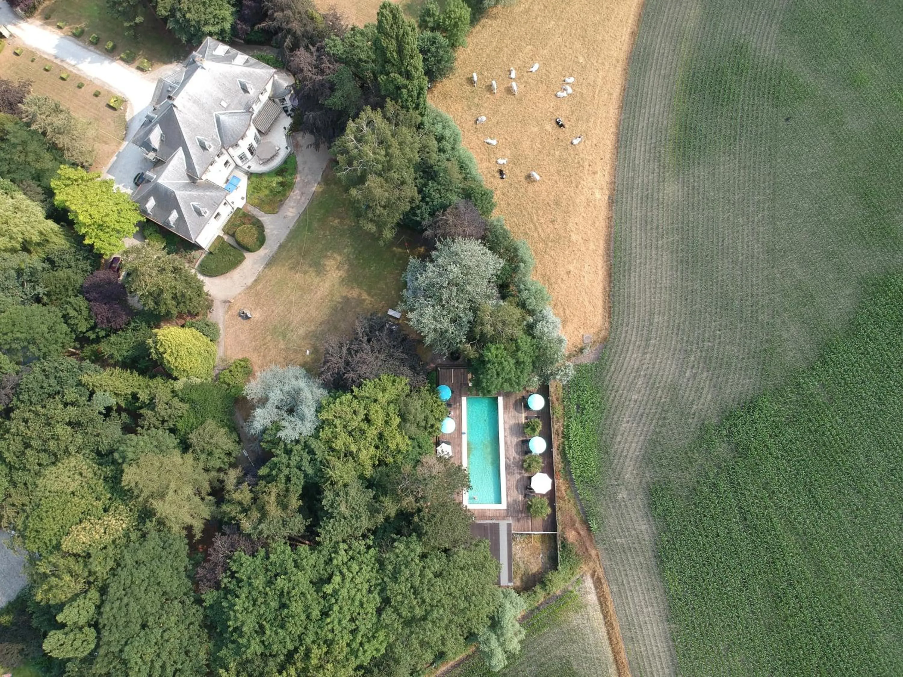 Day in Hotel Fleur de Lys