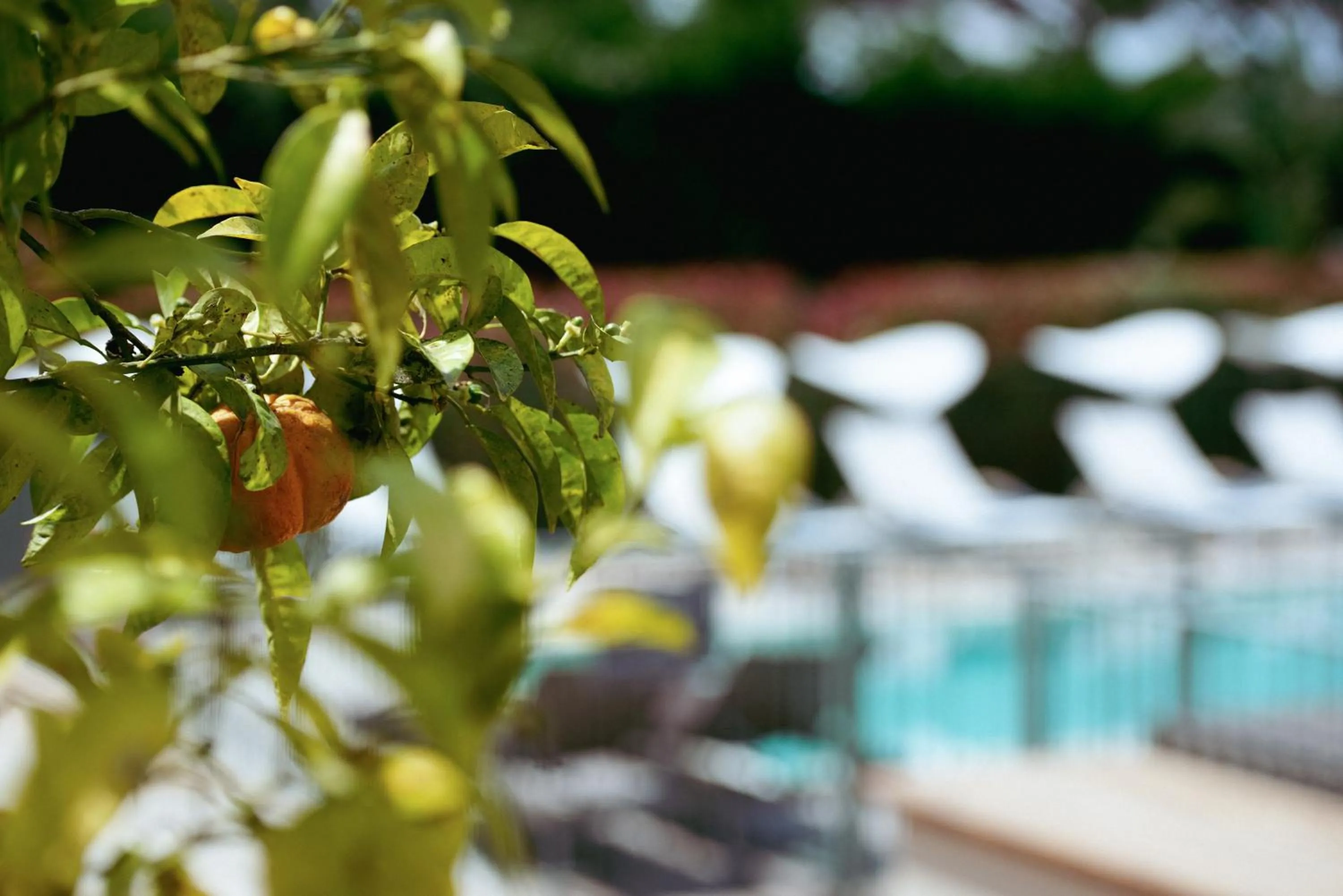 Spring in Boutique Hôtel Villa Fabulite