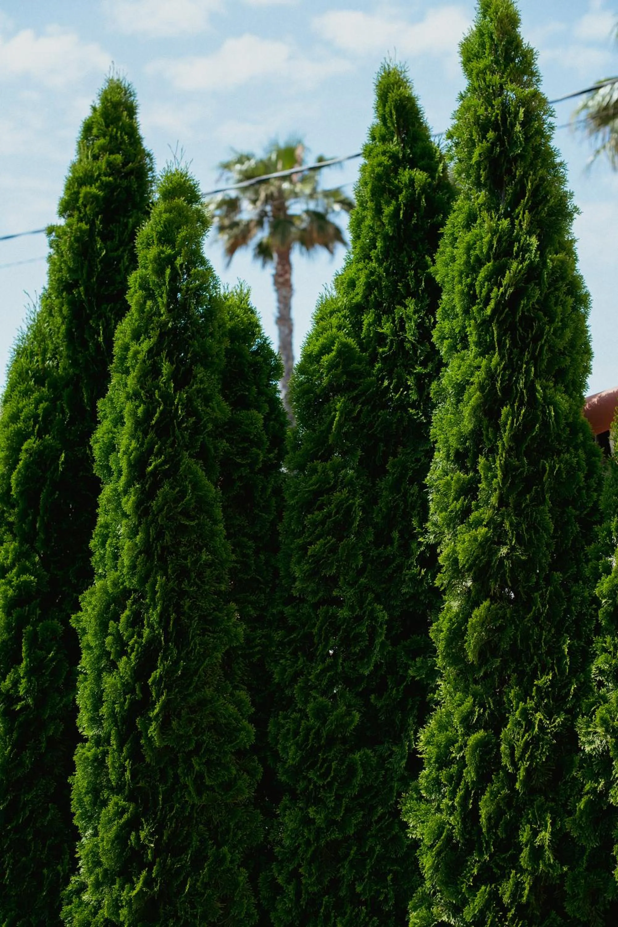 Day in Boutique Hôtel Villa Fabulite