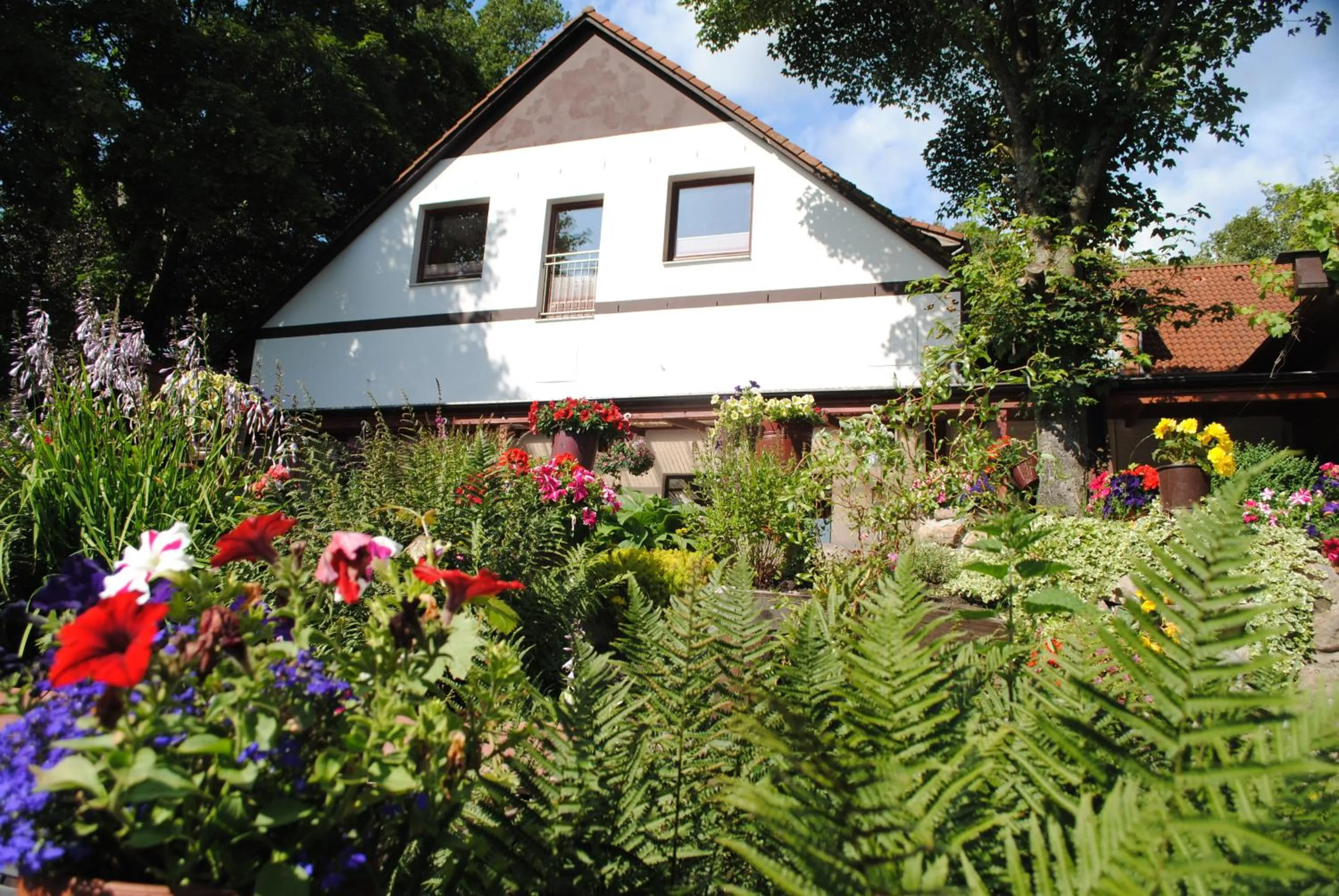 Property building in Hotel Ruhekrug