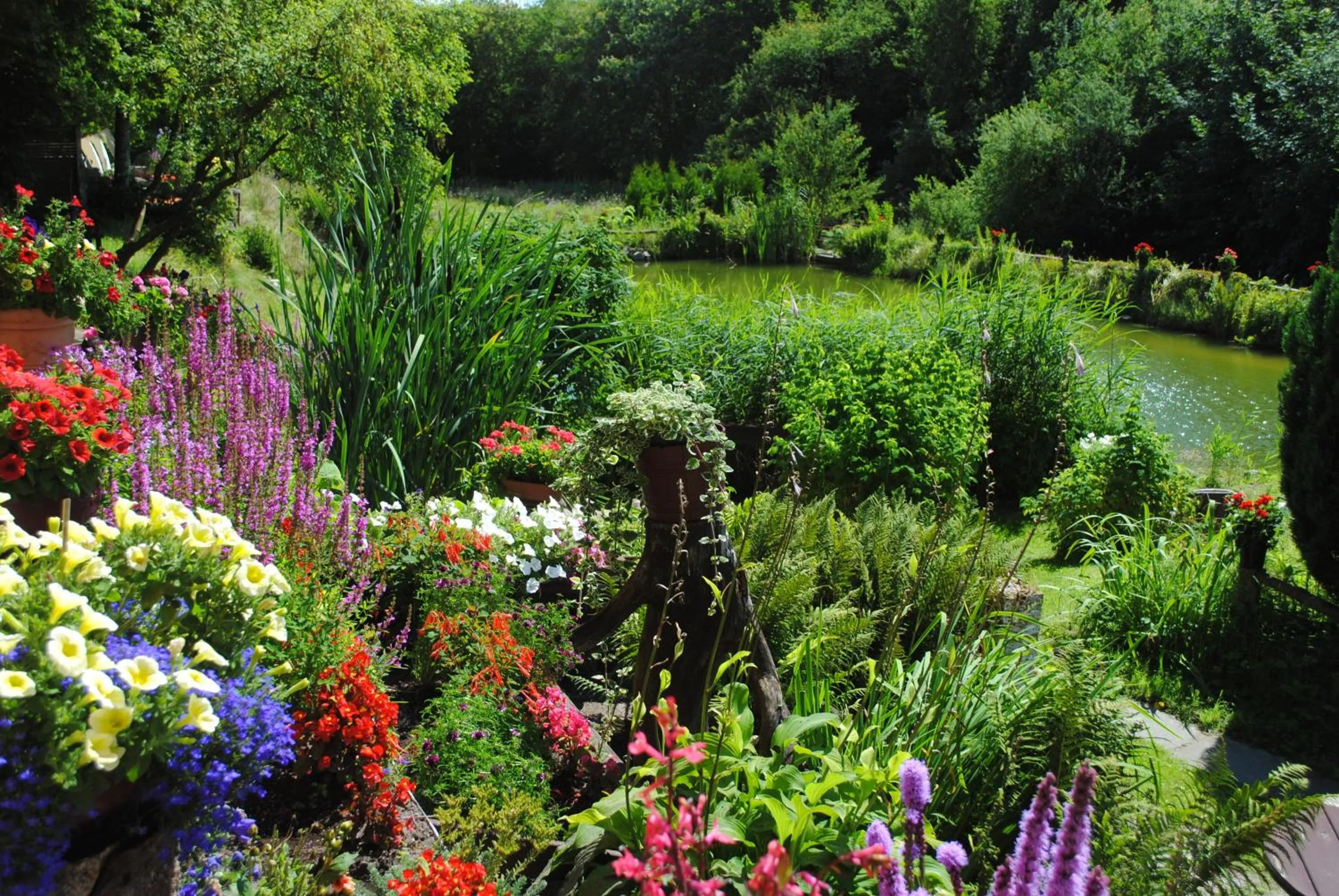 Garden in Hotel Ruhekrug