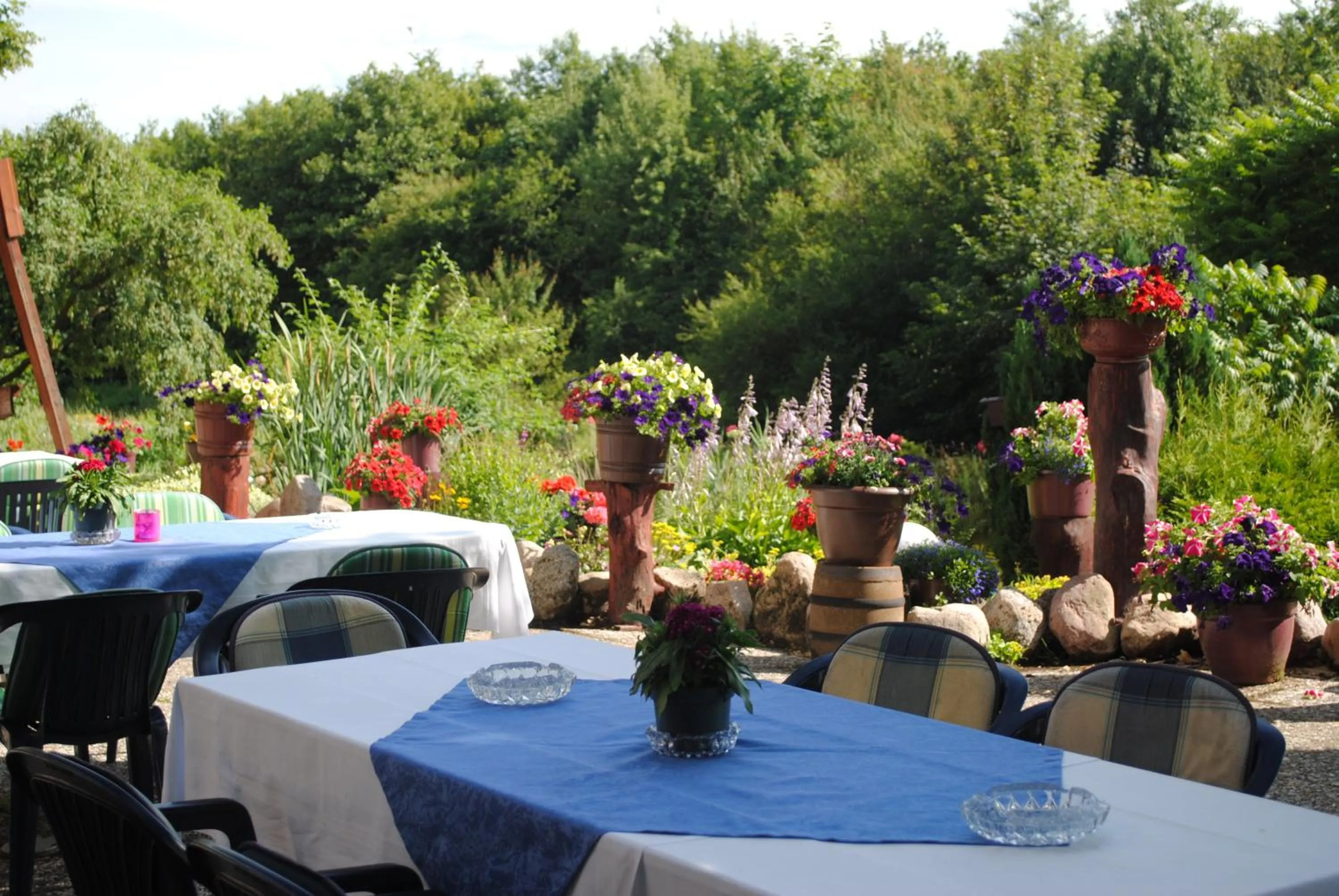 Garden view in Hotel Ruhekrug