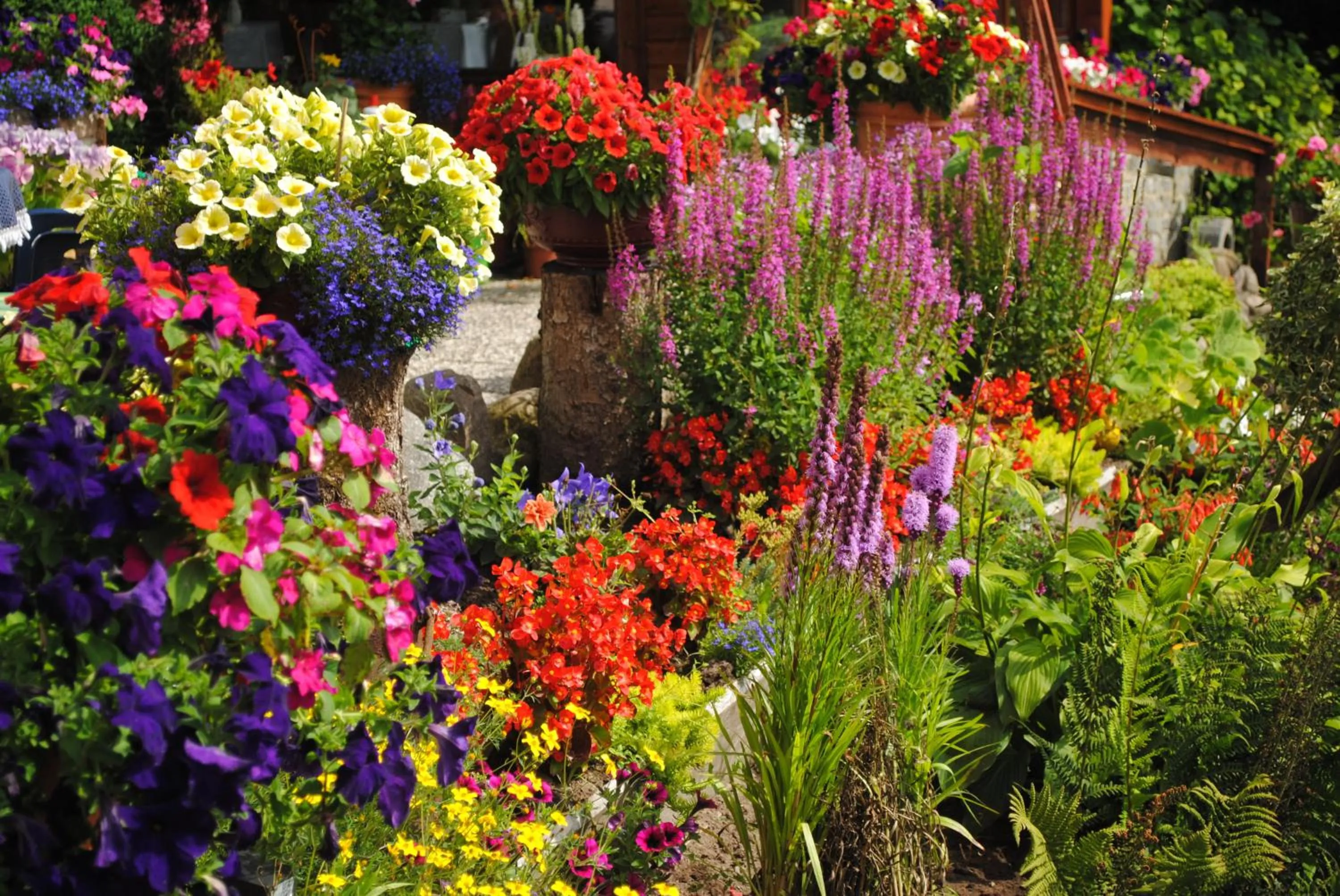 Garden in Hotel Ruhekrug