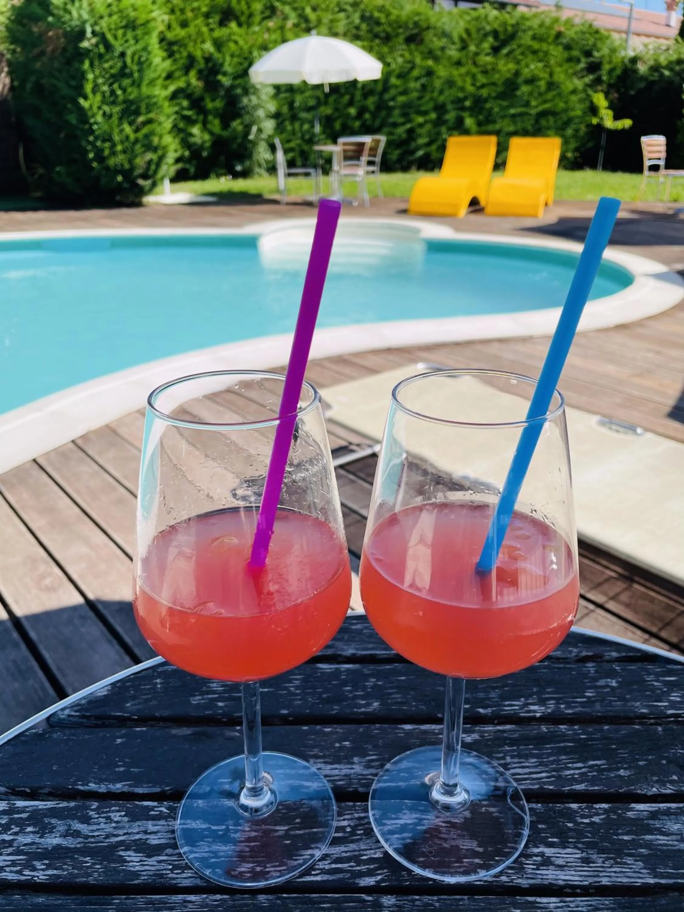 Garden in Hotel Villa Cinzia