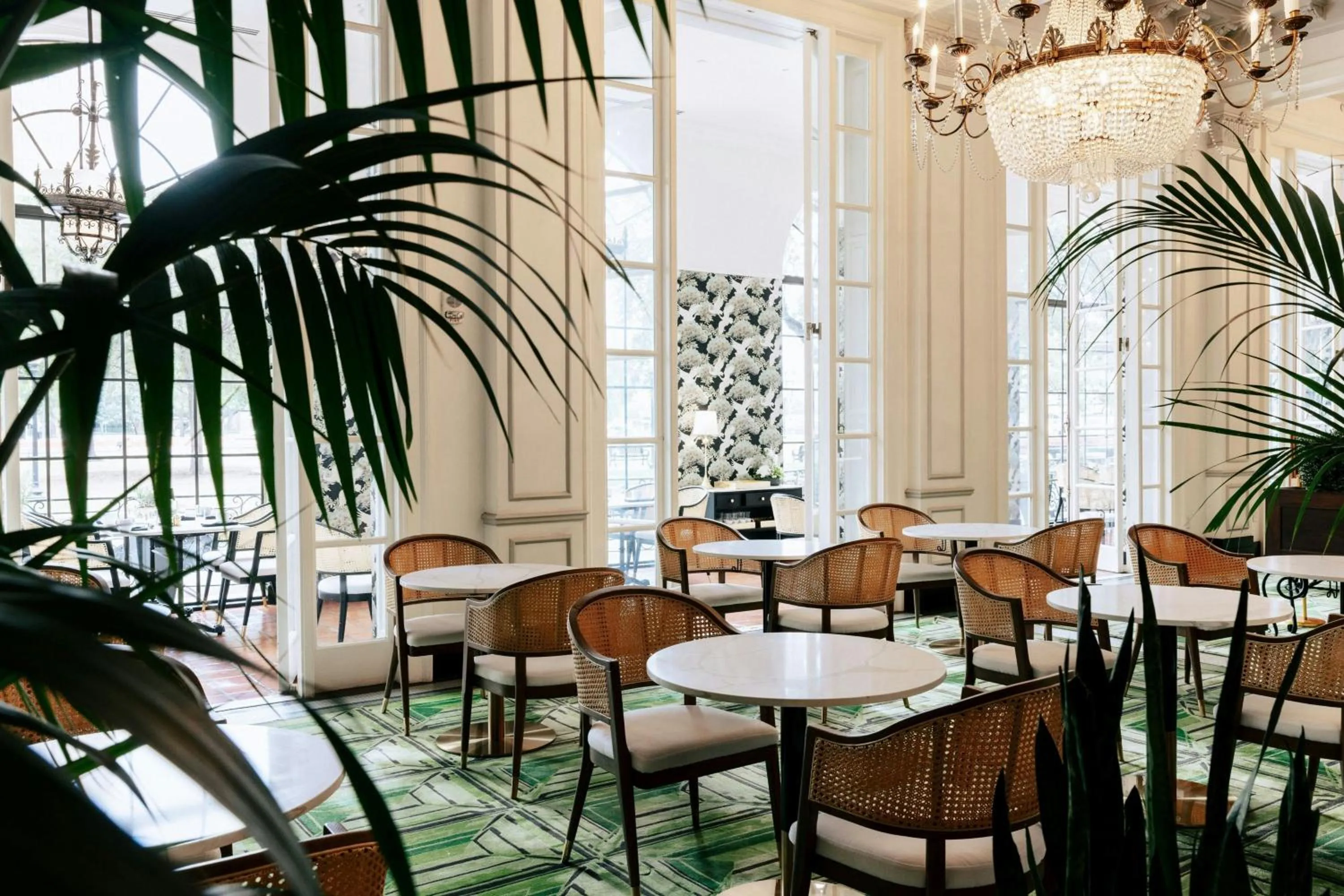 Restaurant/places to eat in The St. Anthony, a Luxury Collection Hotel, San Antonio