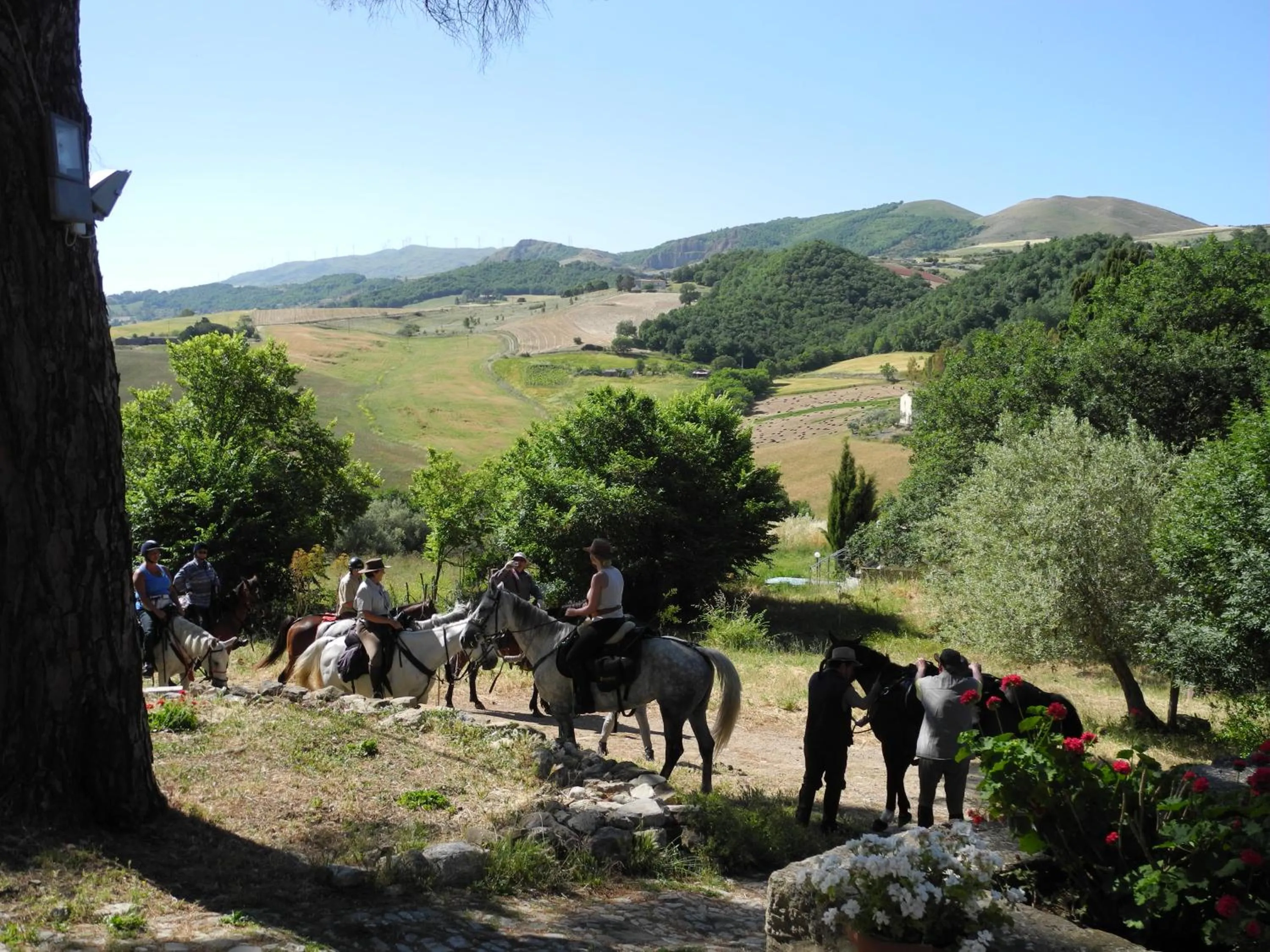 Animals in Casale Villa Rainò