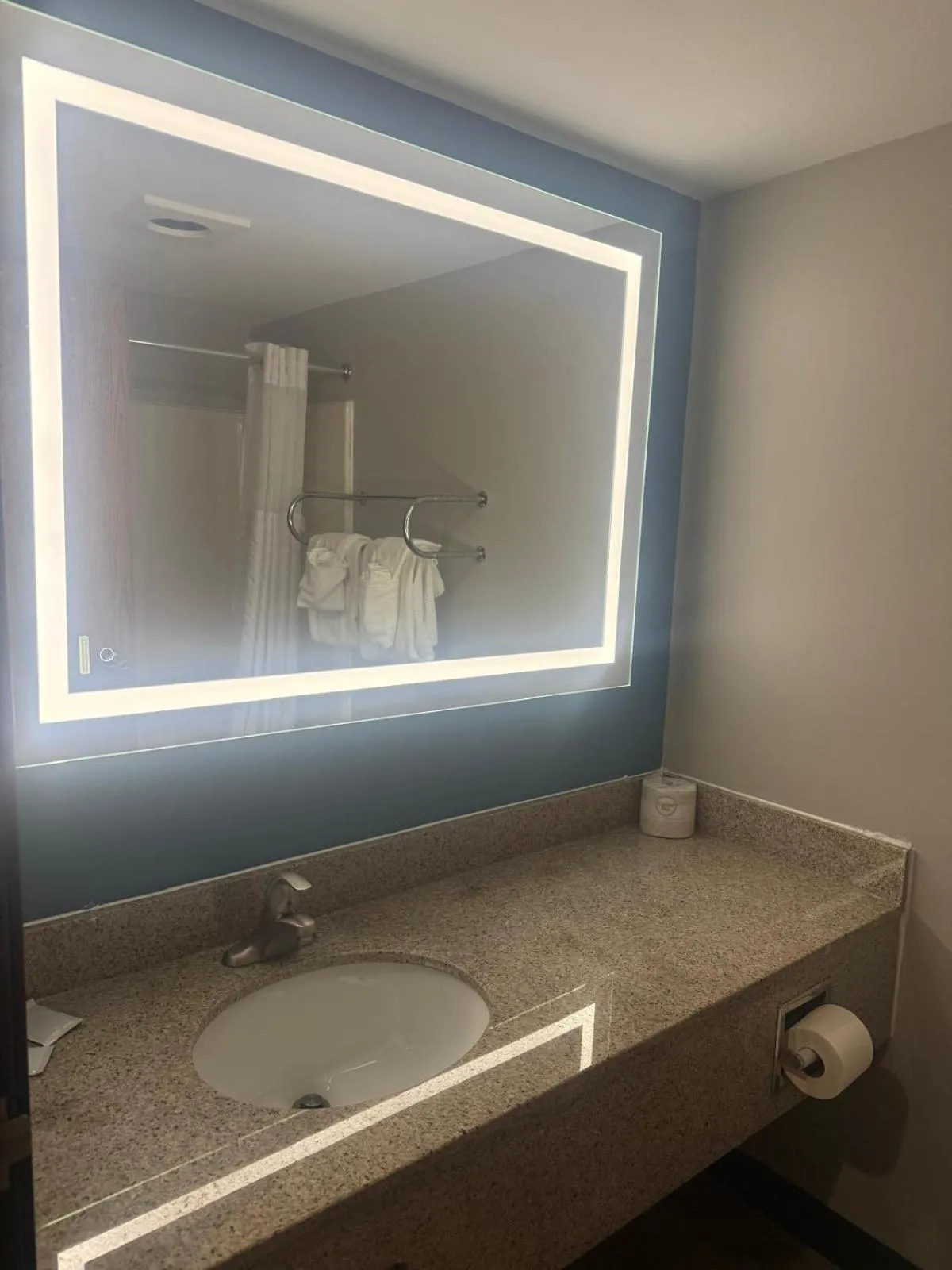 Quality Inn & Suites Detroit Metro Airport