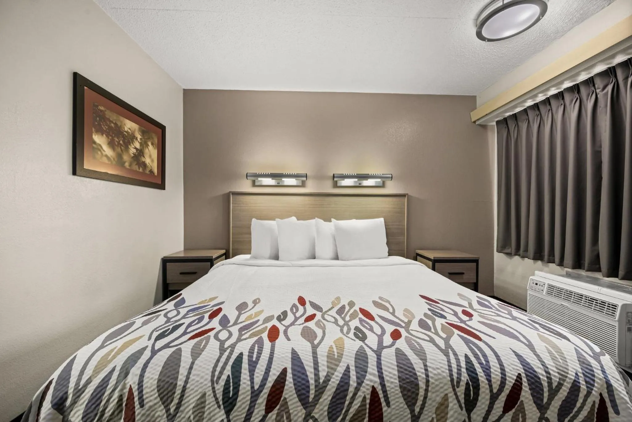 Photo of the whole room, Bed in Red Roof Inn Detroit - Royal Oak/Madison Heights