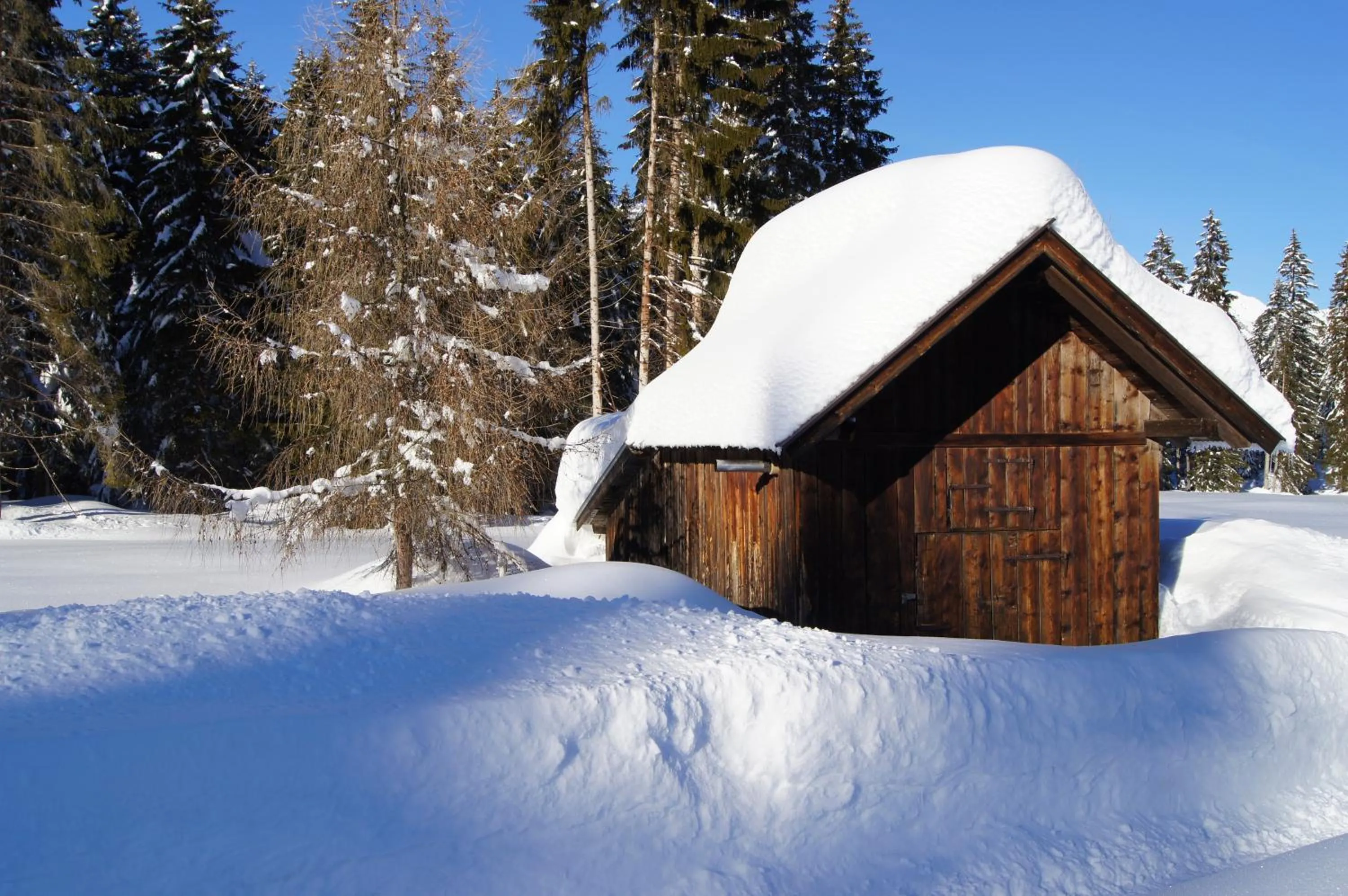 Area and facilities in Landhotel Wolf