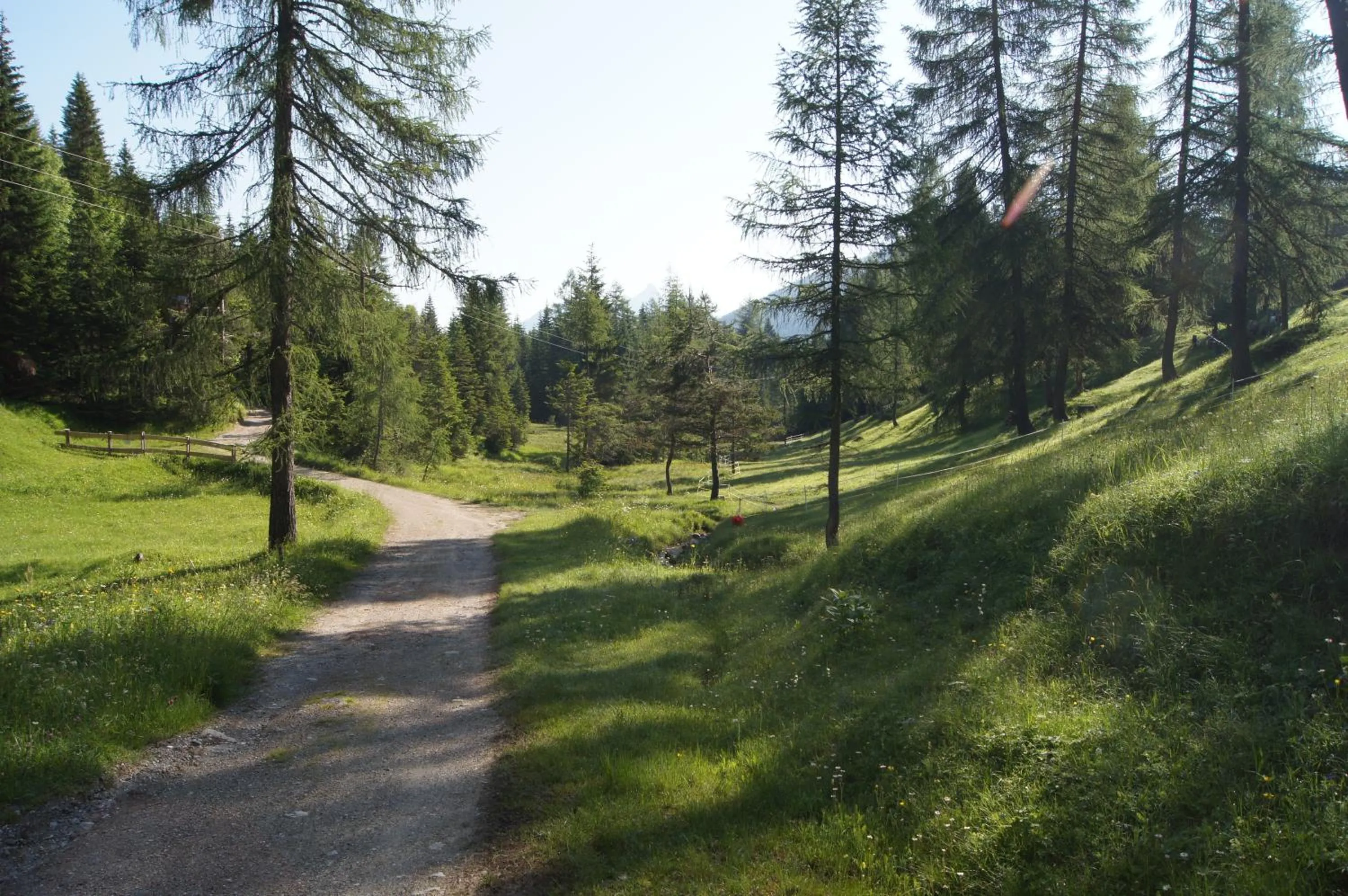 Area and facilities in Landhotel Wolf
