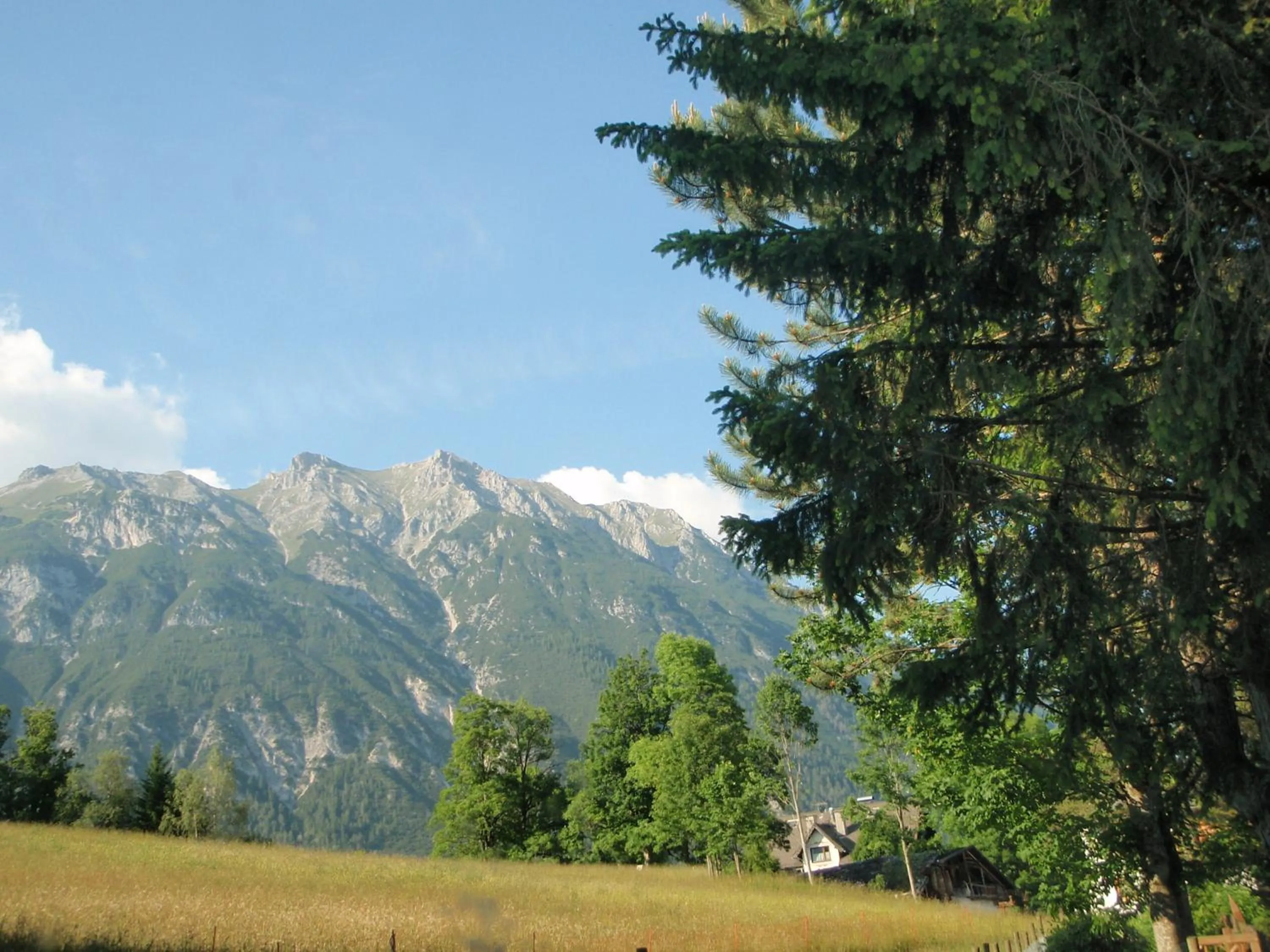 Area and facilities in Landhotel Wolf