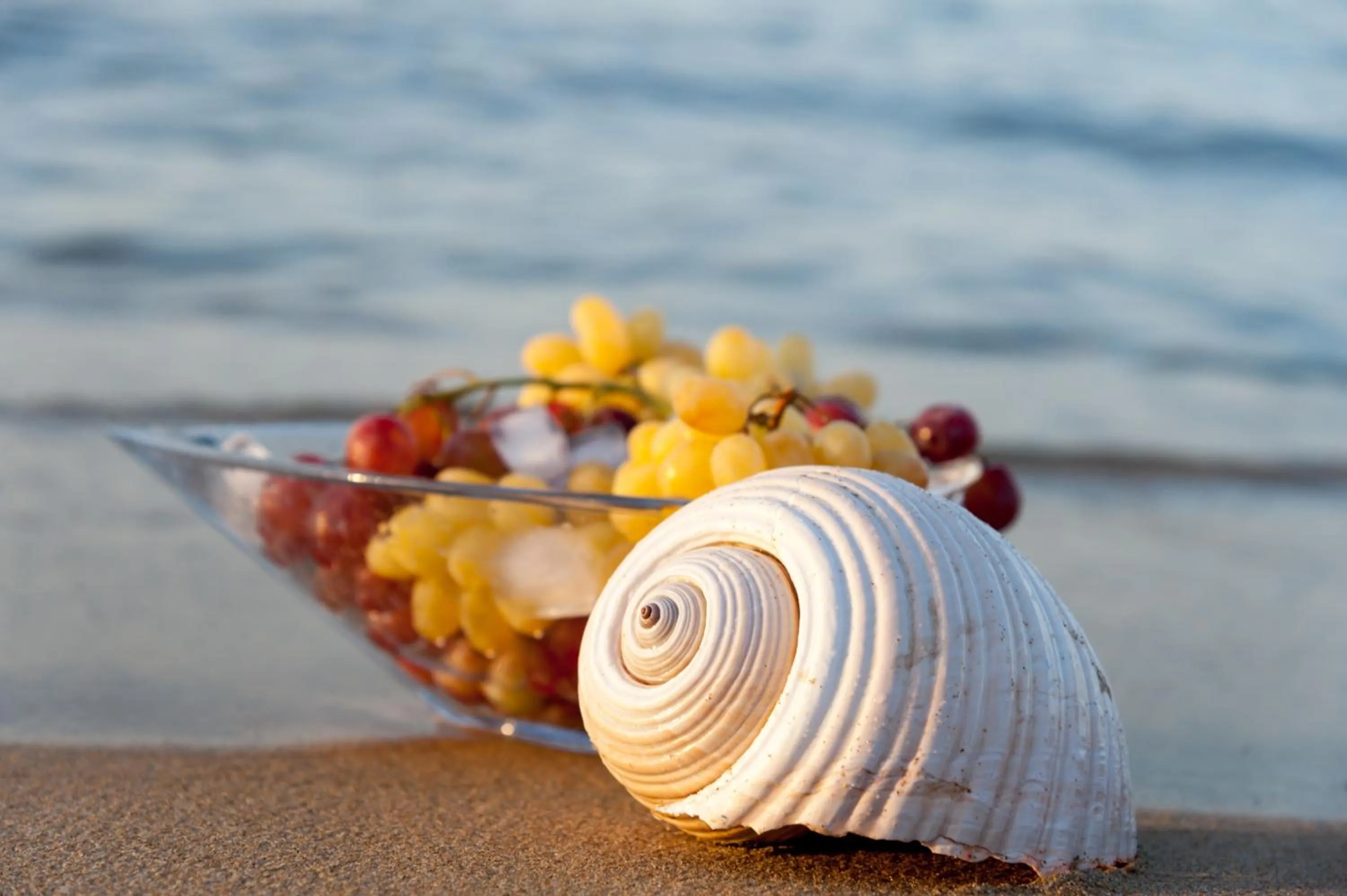 Beach in Laplaya Beach