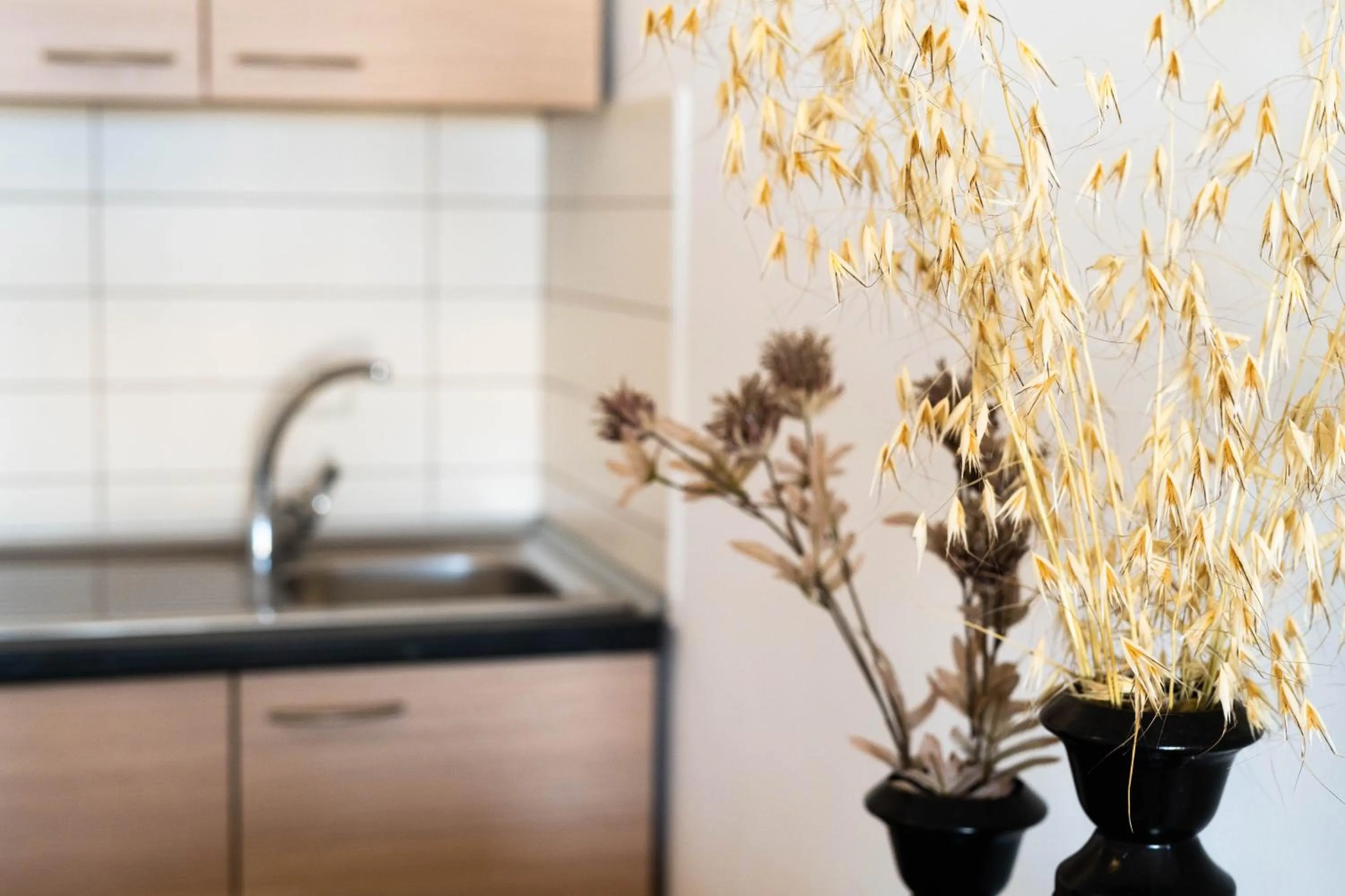 Kitchen or kitchenette in 3Aktes Suites & Studios