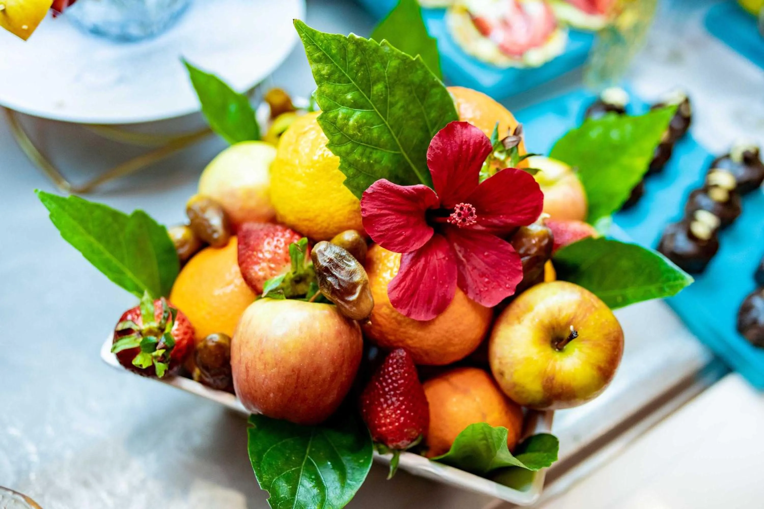 Restaurant/places to eat in TMK Flora Park by Turismark - Adults Only