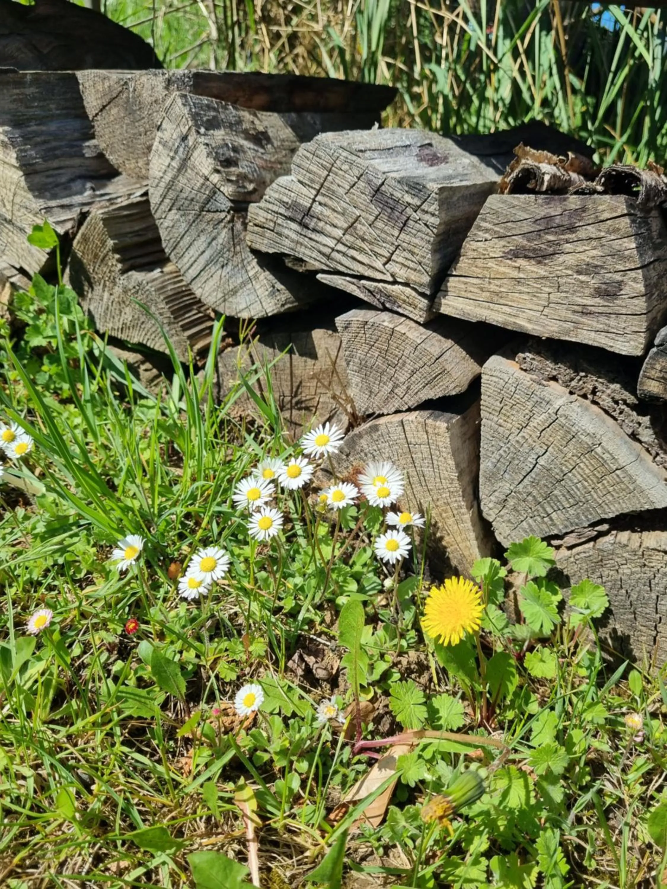 Landhaus Talblick- Frühstückspension