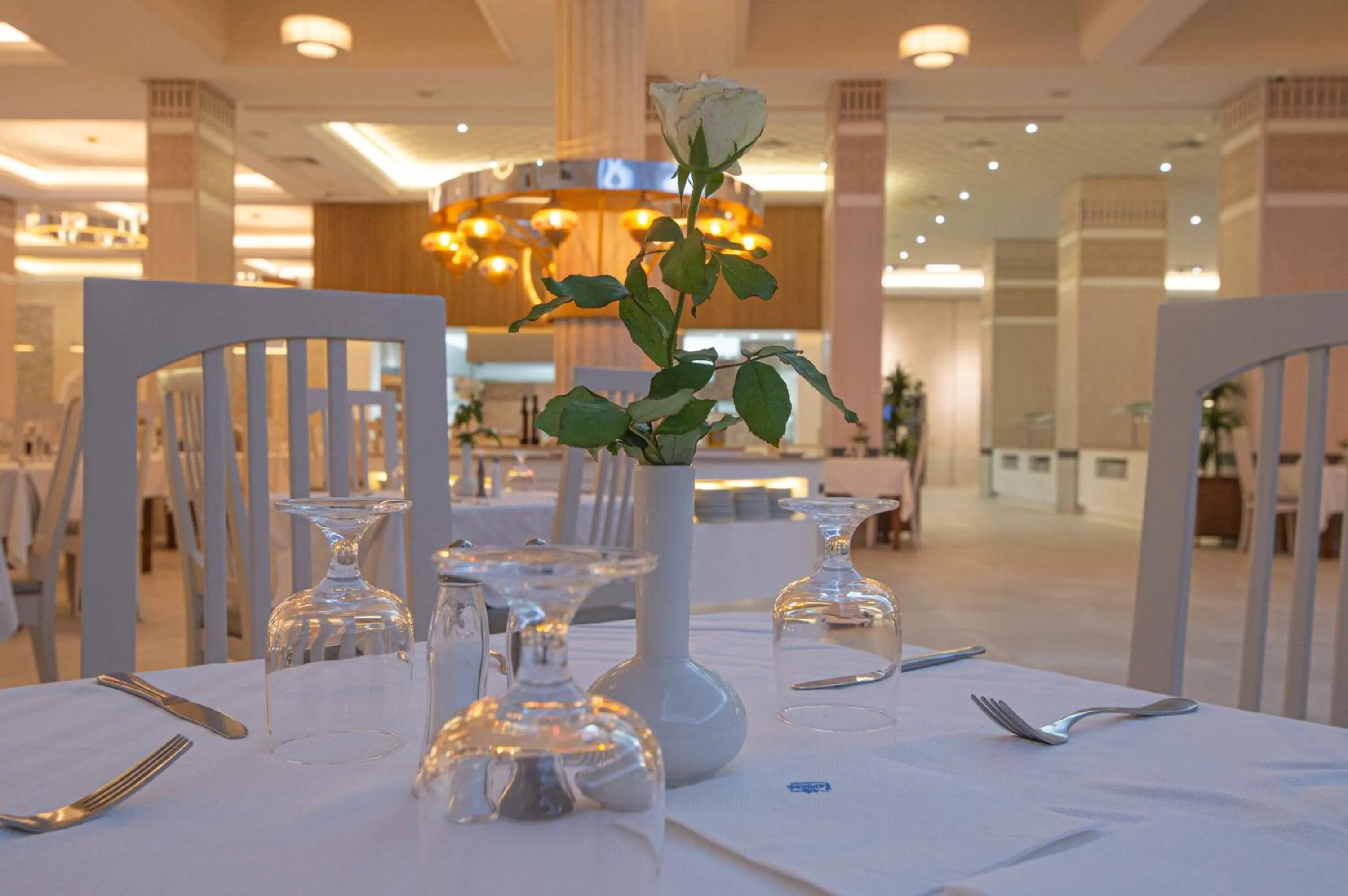 Restaurant/places to eat in Hotel Nour Palace Resort & Thalasso Mahdia