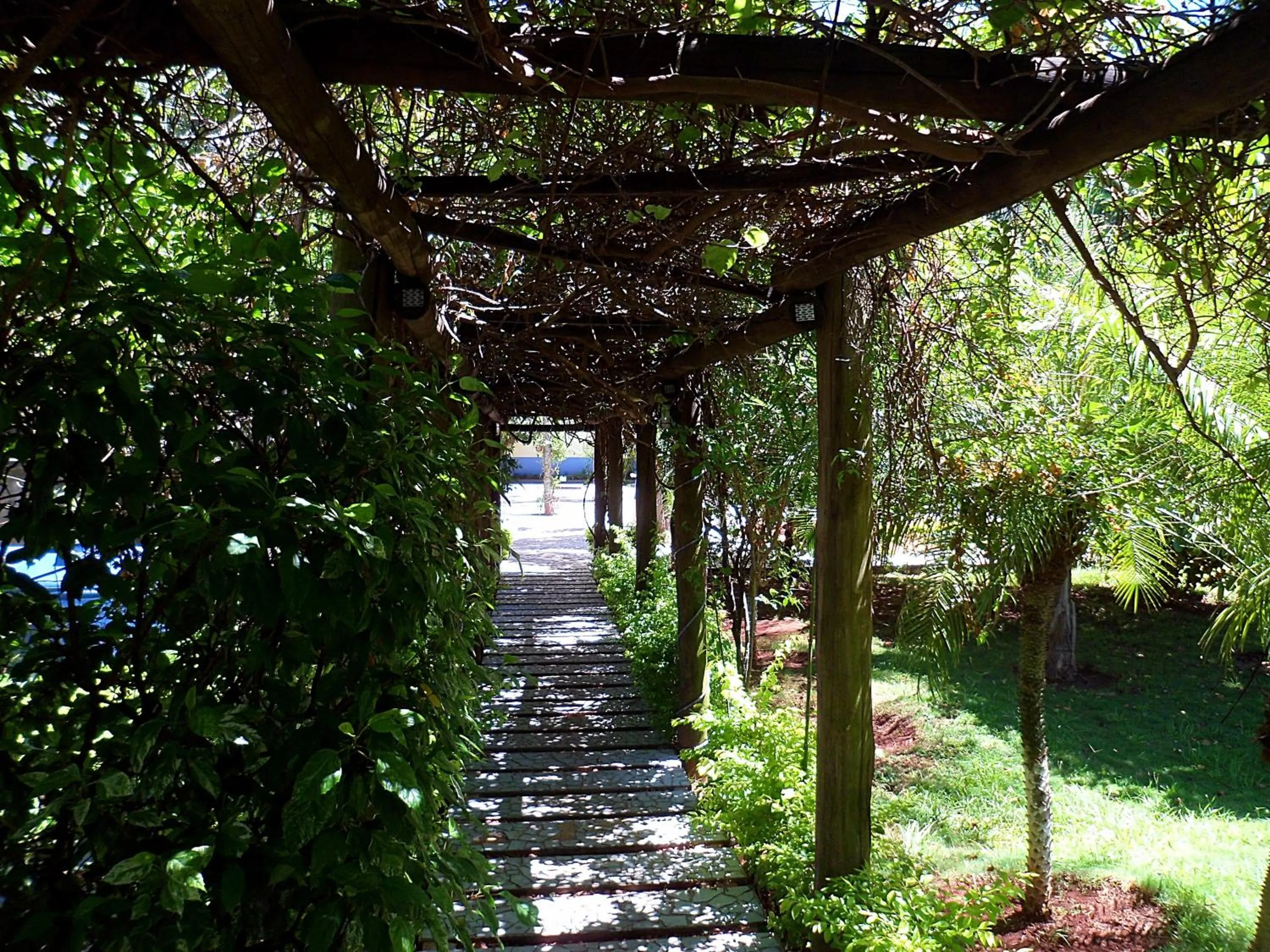 Garden in Praia Sol Hotel