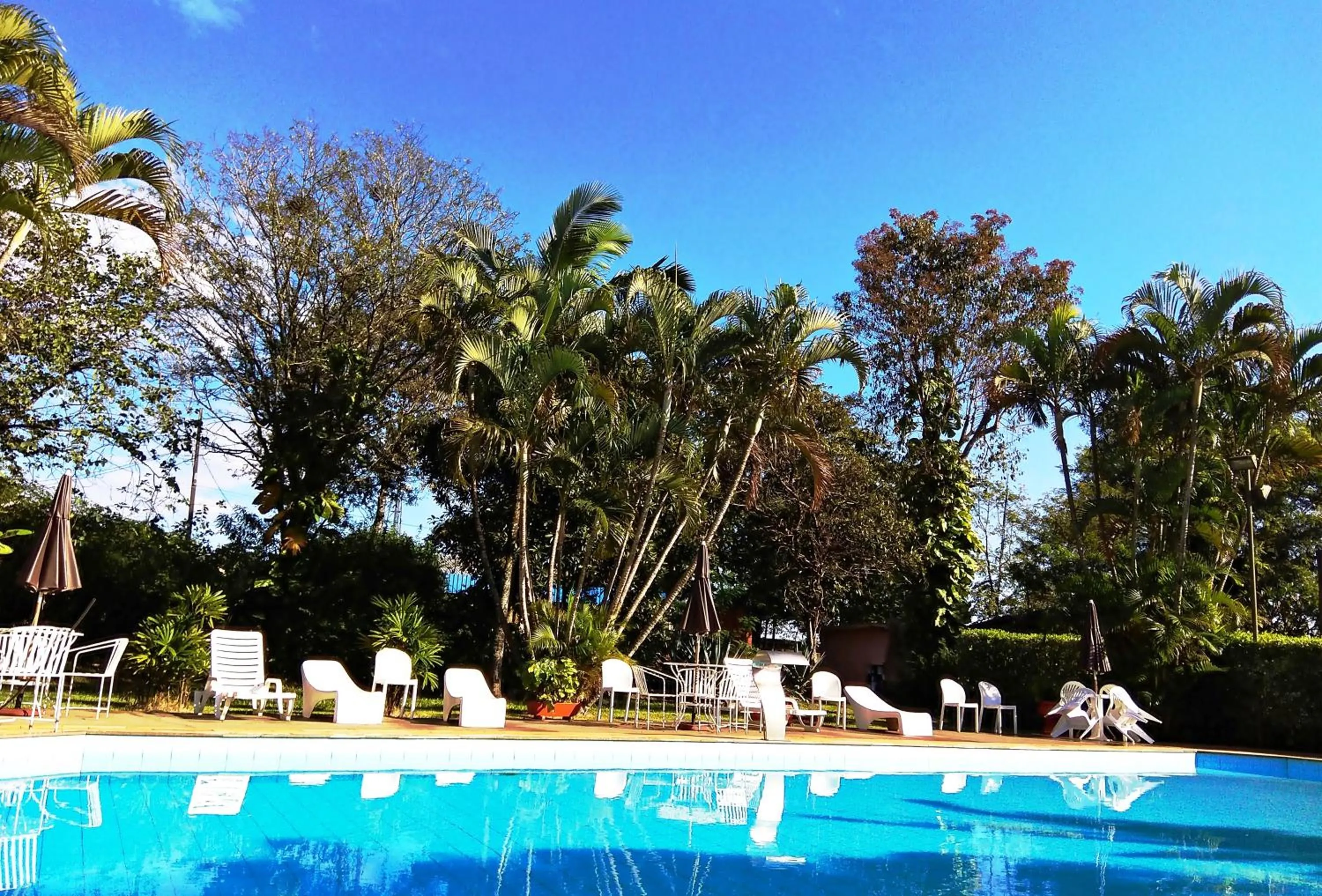 Garden view in Praia Sol Hotel