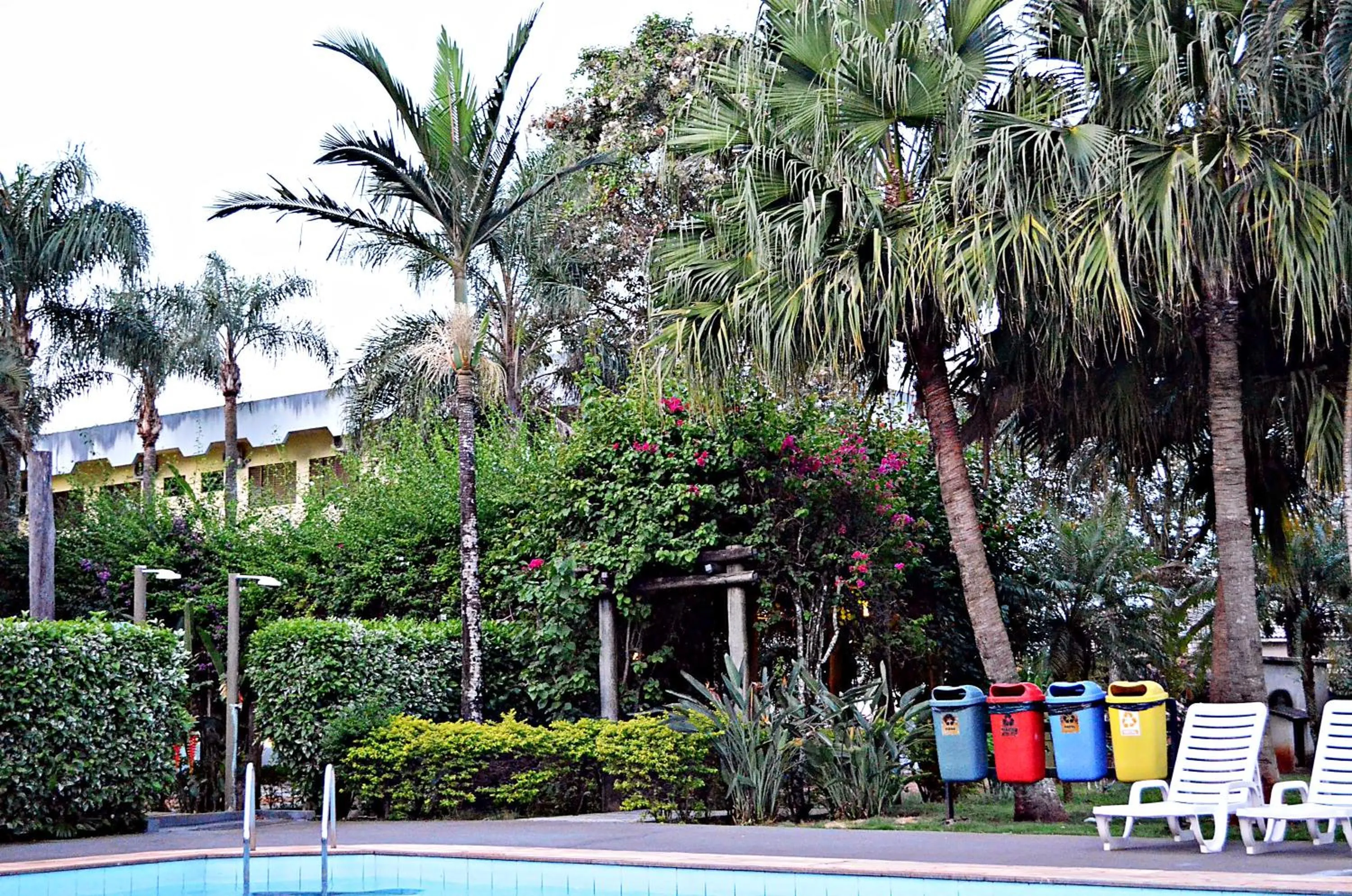 Garden in Praia Sol Hotel