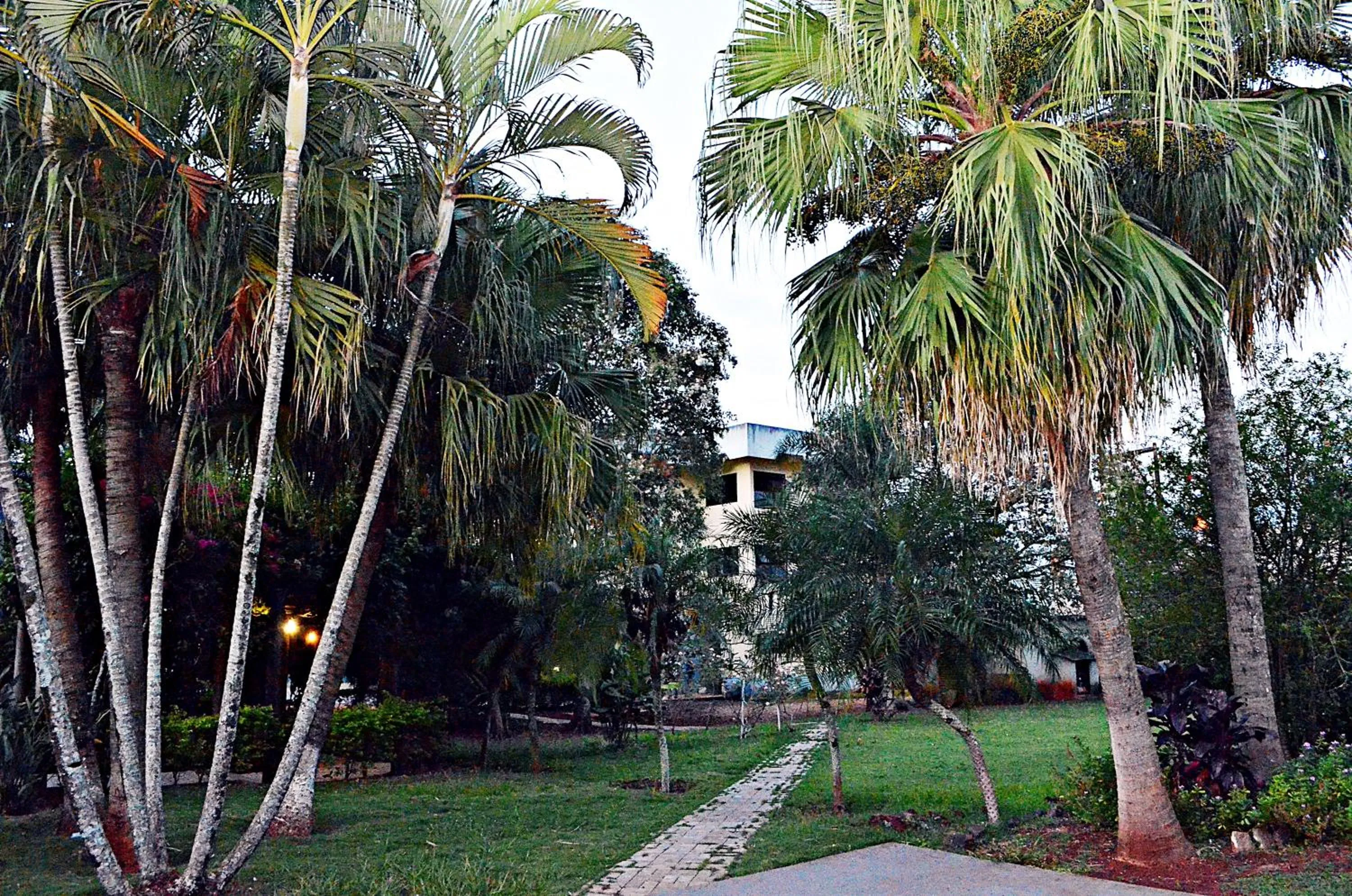 Garden in Praia Sol Hotel
