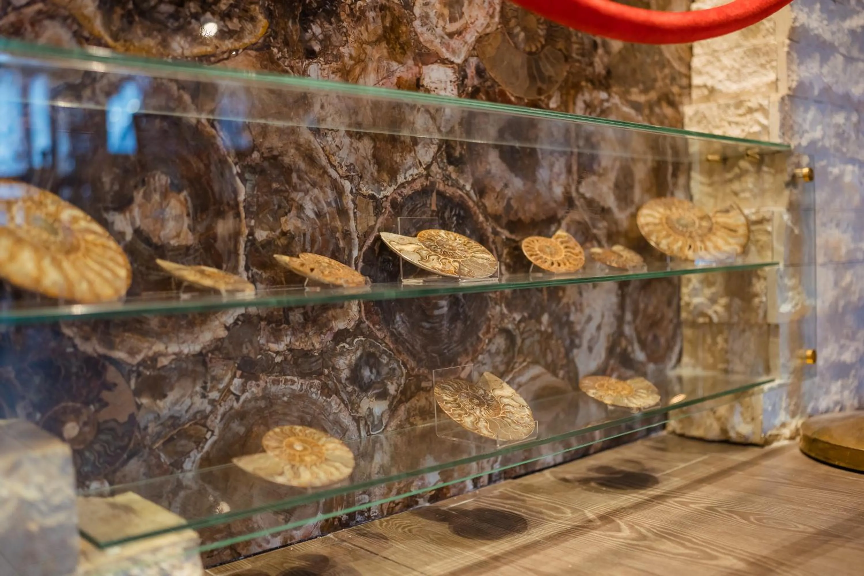 Restaurant/places to eat in Hotel Smart