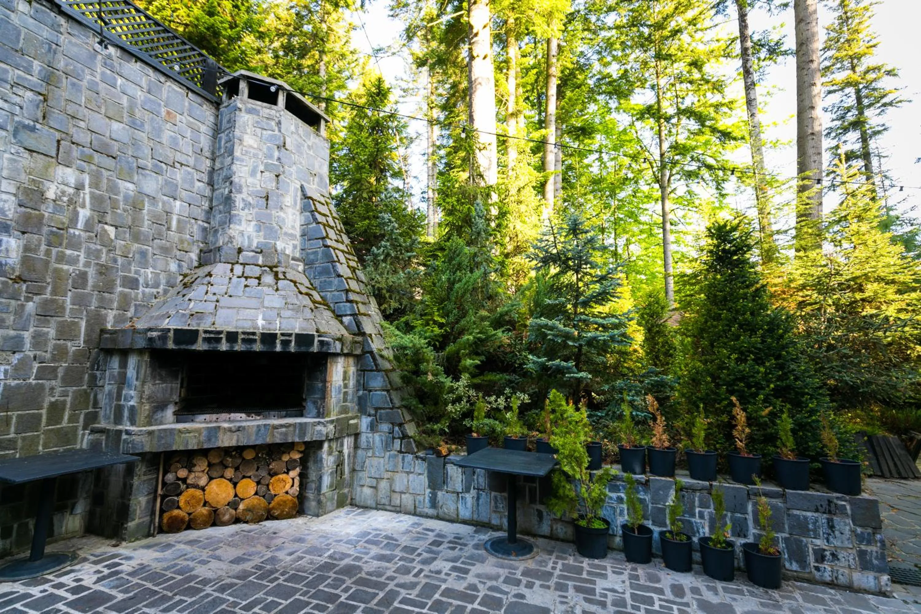 Garden in Hotel Smart