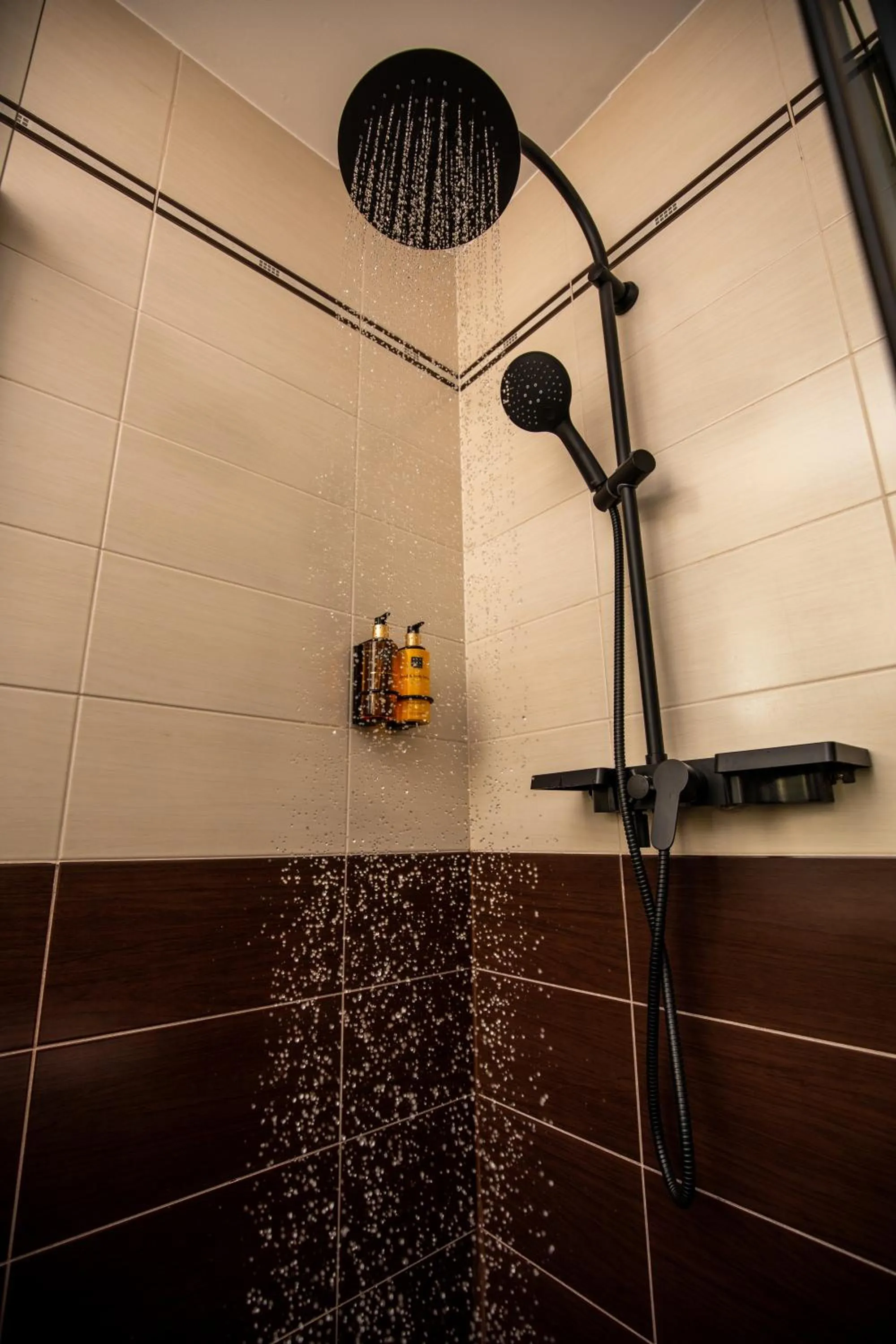 Shower in Hotel Smart