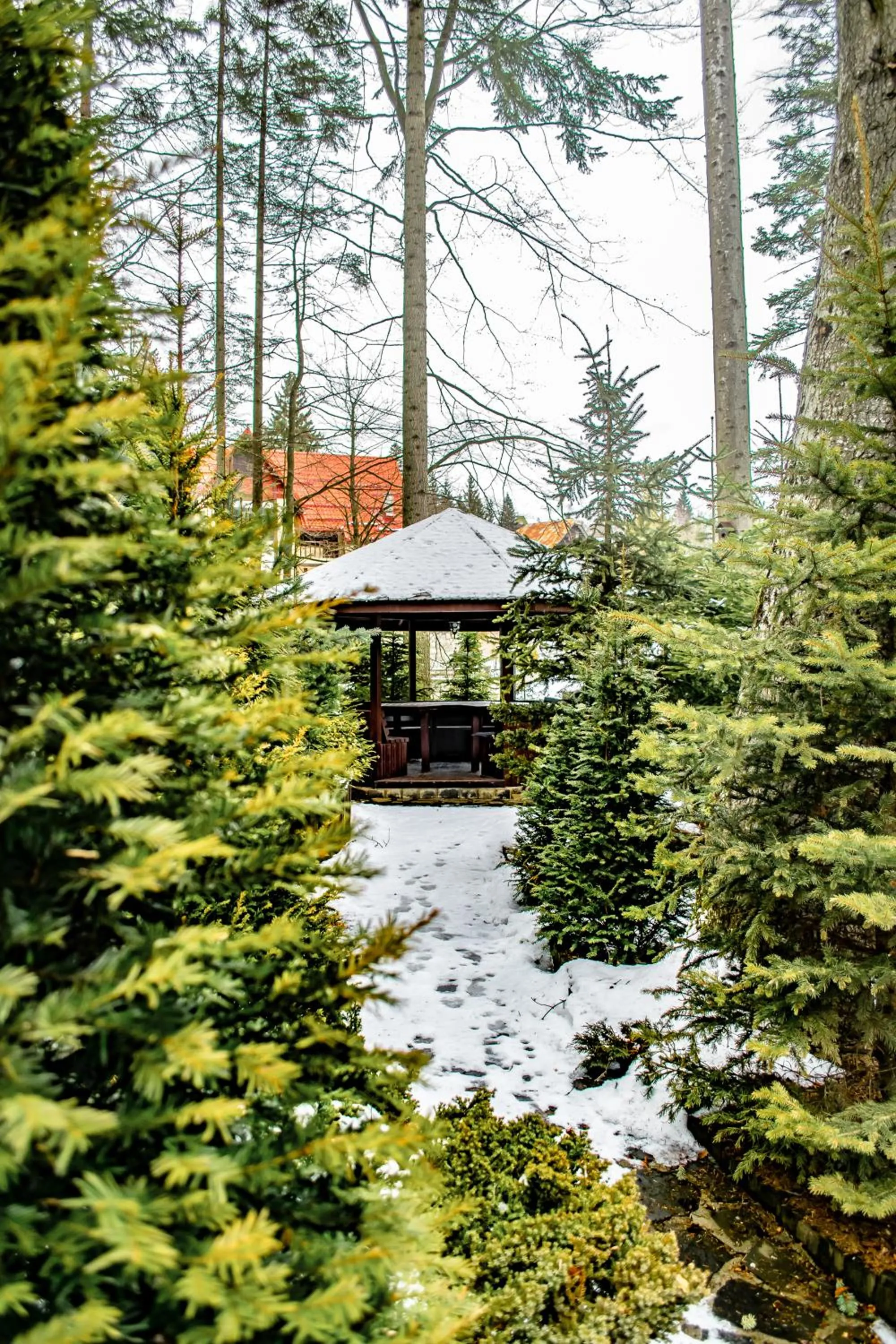 Property building in Hotel Smart