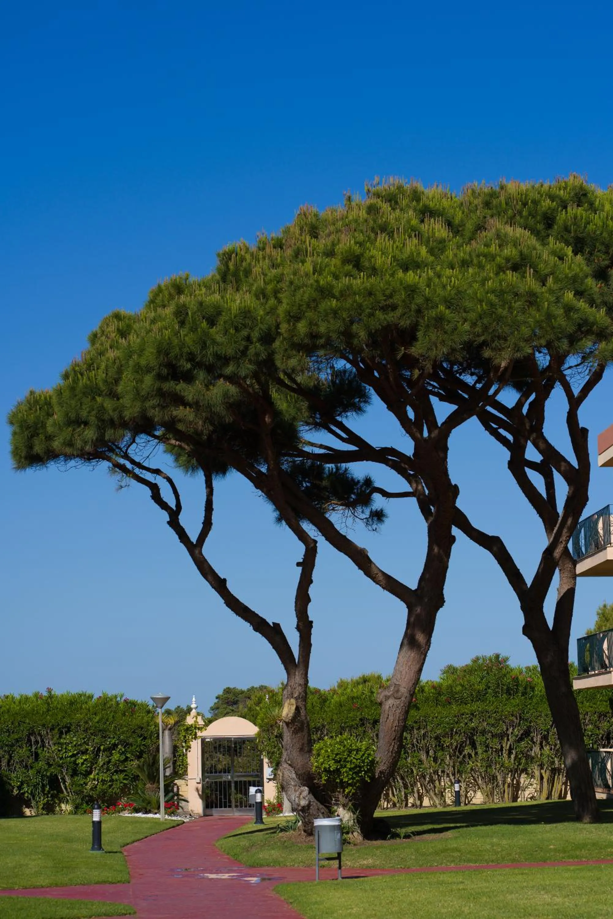 Aparthotel las Dunas