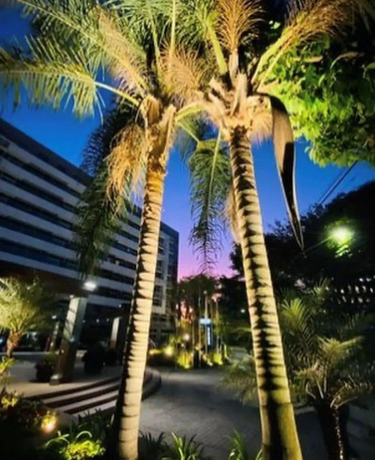 Garden in Blue Tree Premium Verbo Divino - Nações Unidas