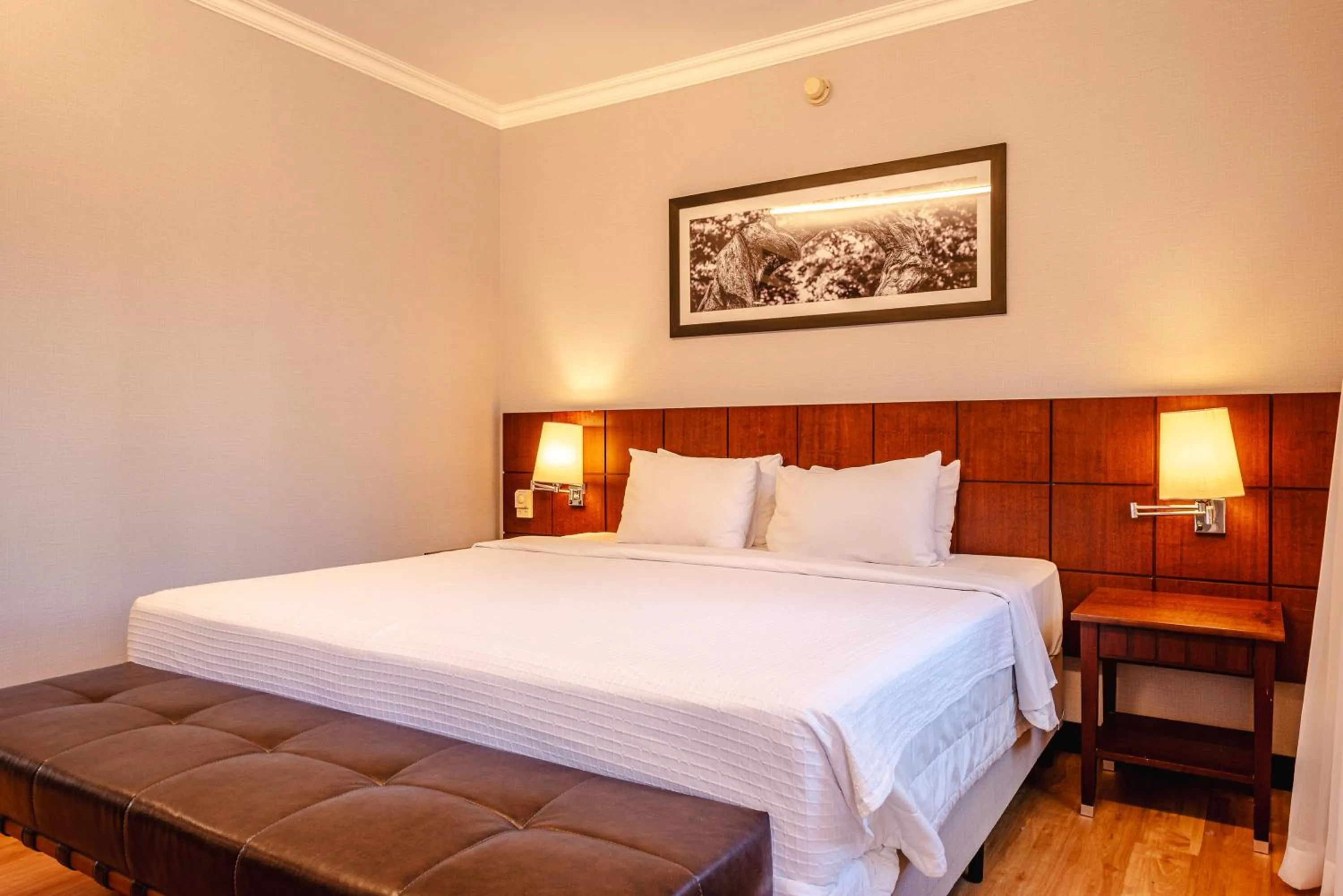 Bed in Blue Tree Premium Verbo Divino - Nações Unidas