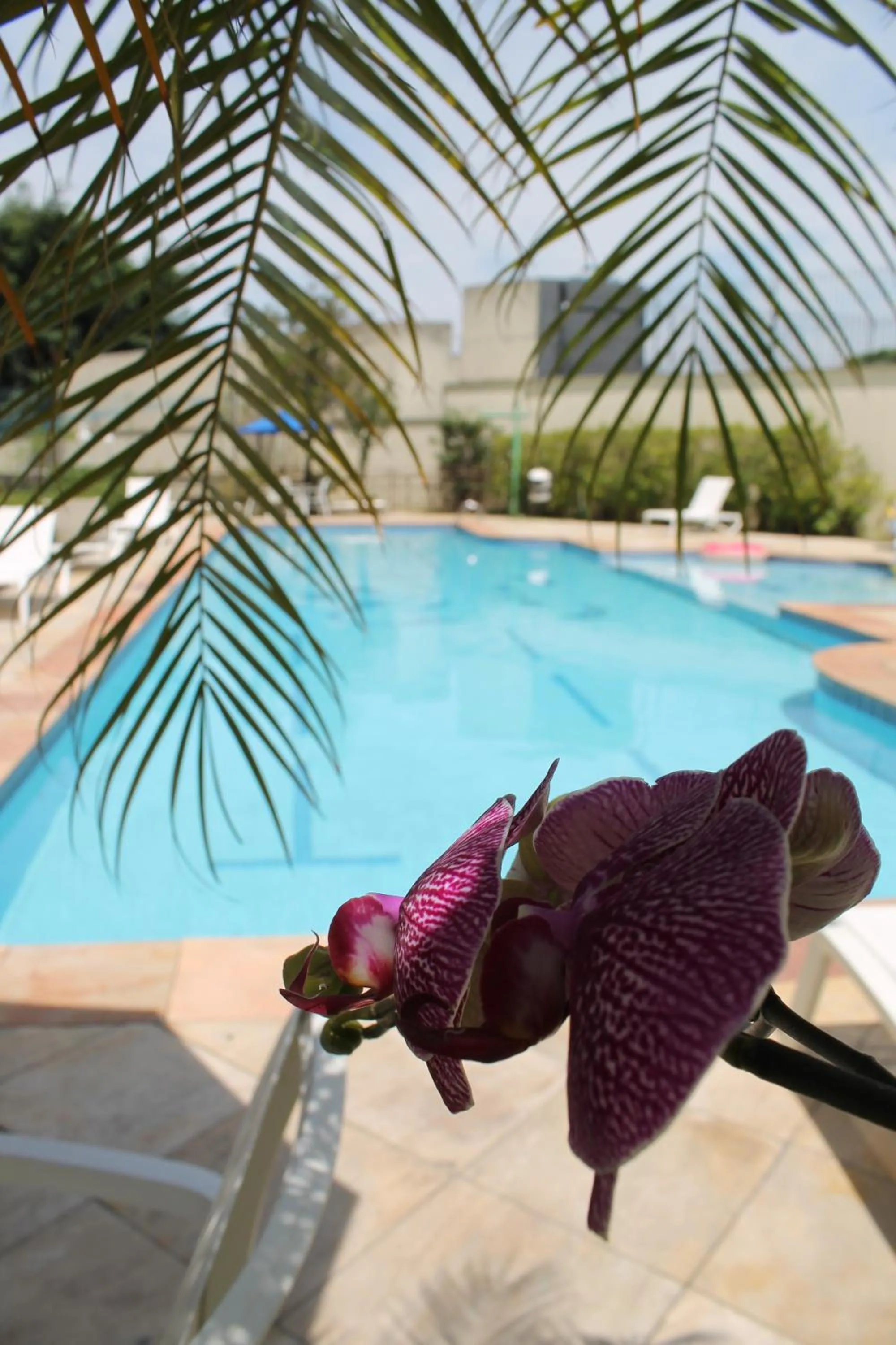 Quality Suites Vila Olimpia