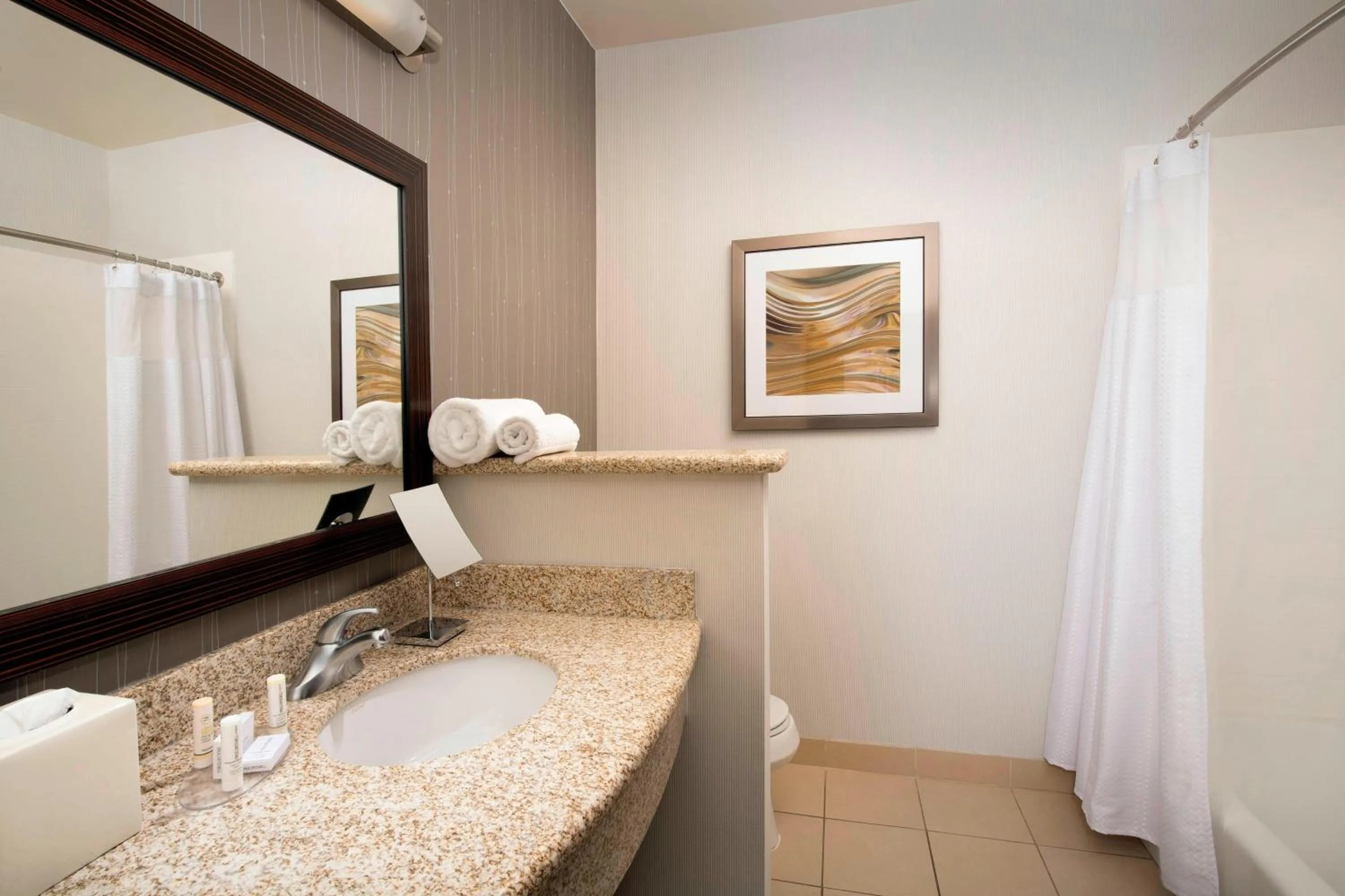 Bathroom in Courtyard by Marriott Tyler