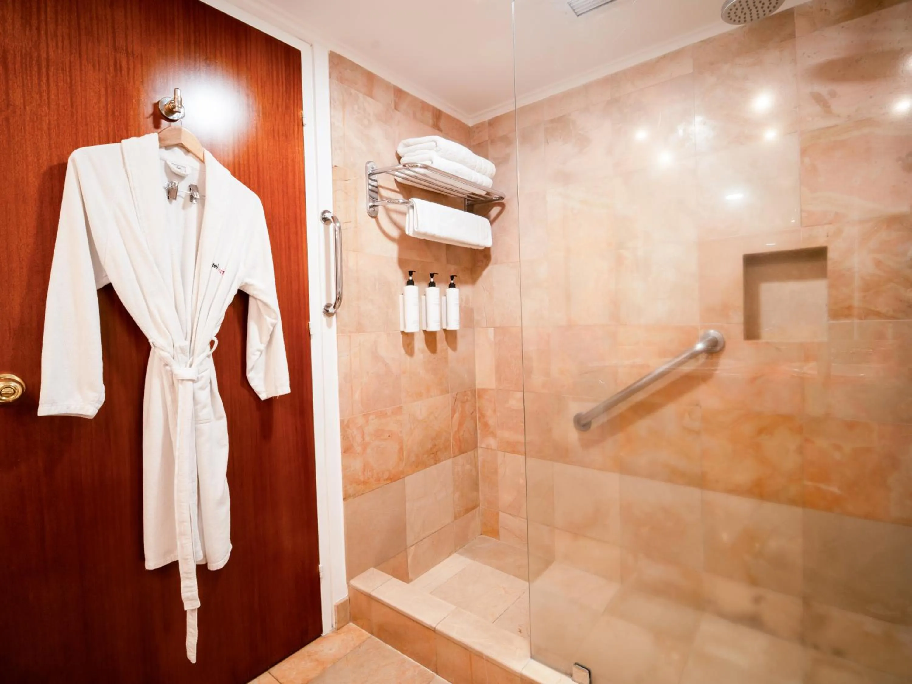 Shower in Swissotel Quito