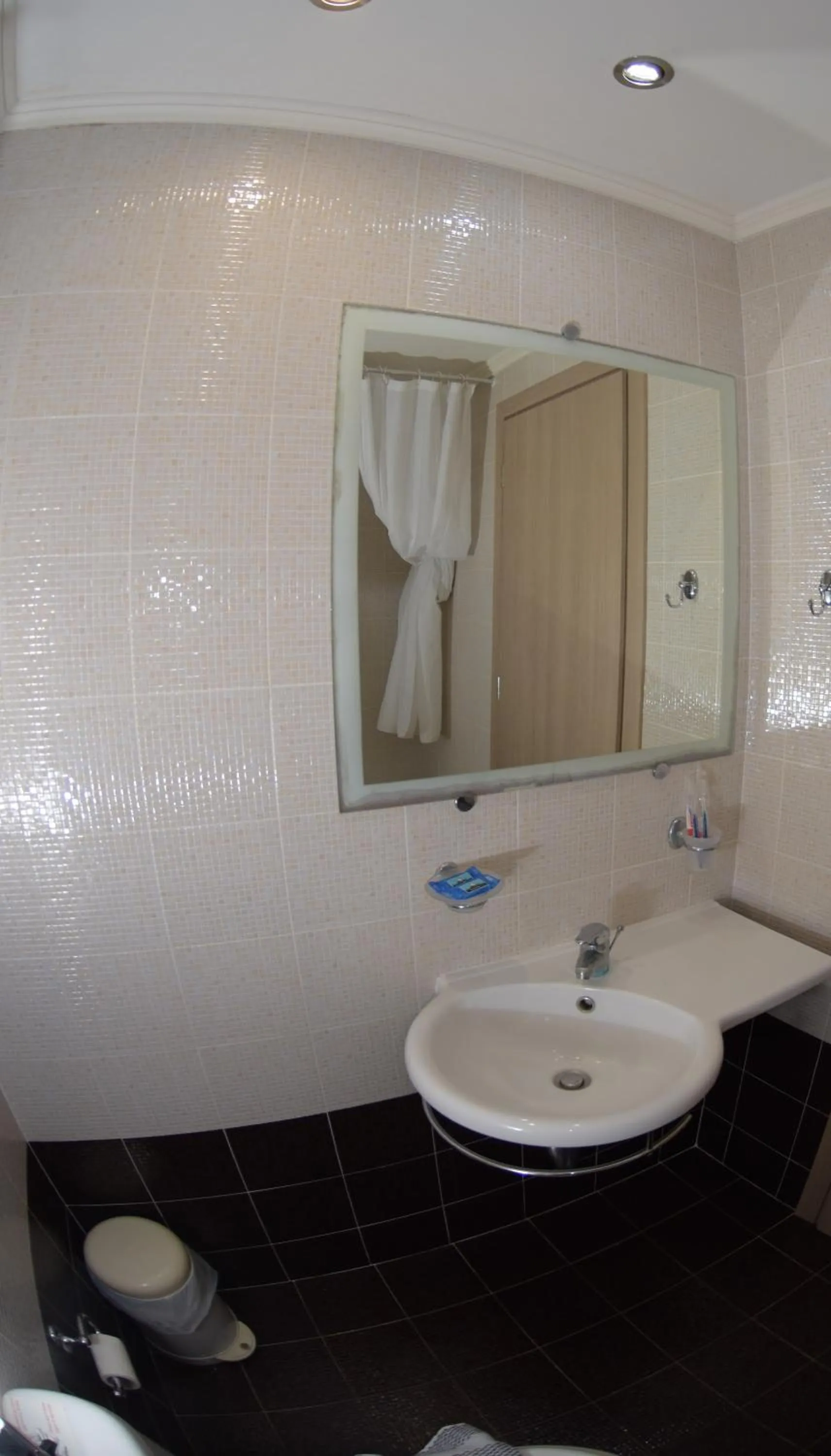 Toilet in Virginia Hotel