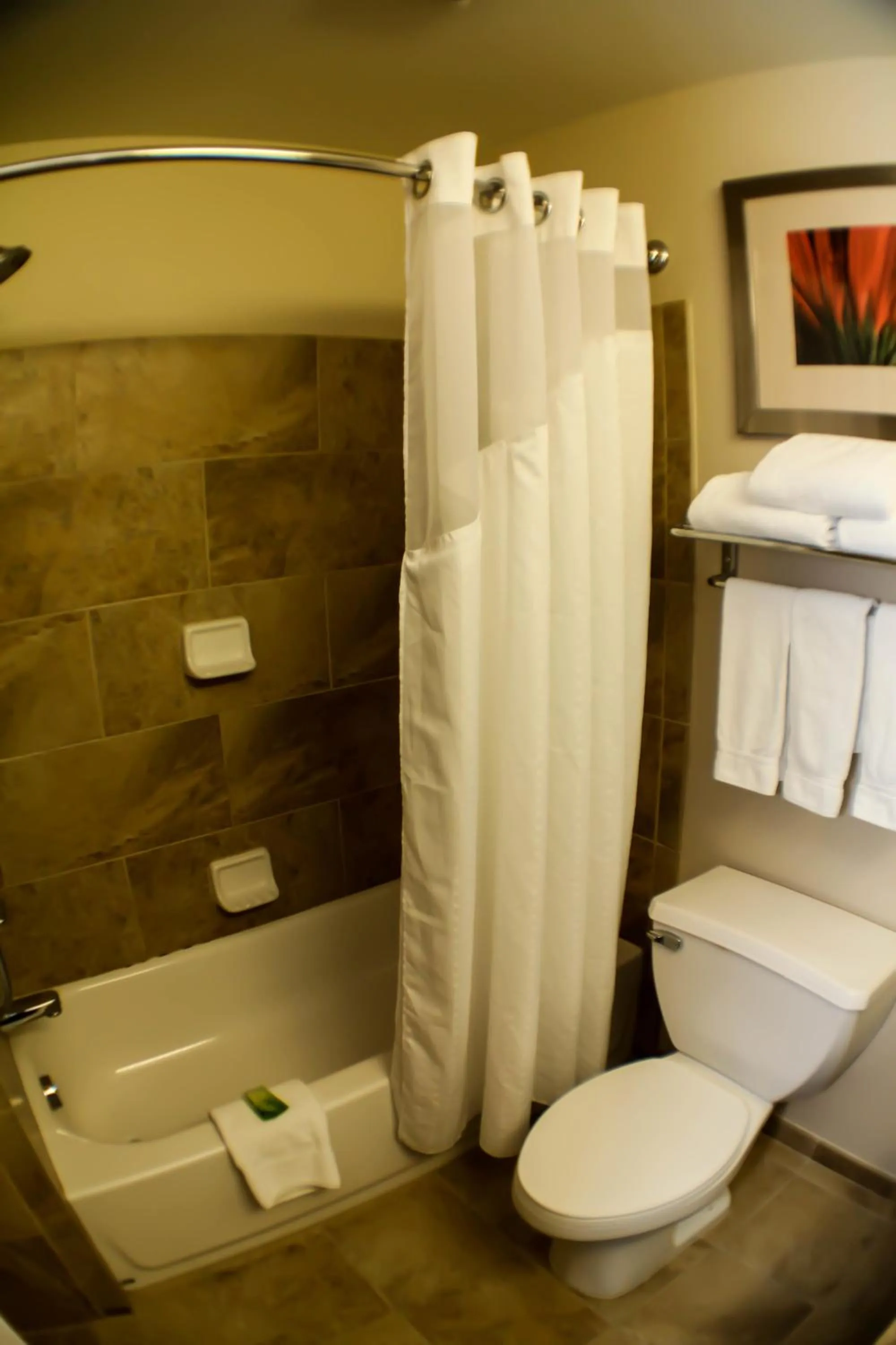 Bathroom in Holiday Inn Express & Suites Indianapolis North - Carmel by IHG