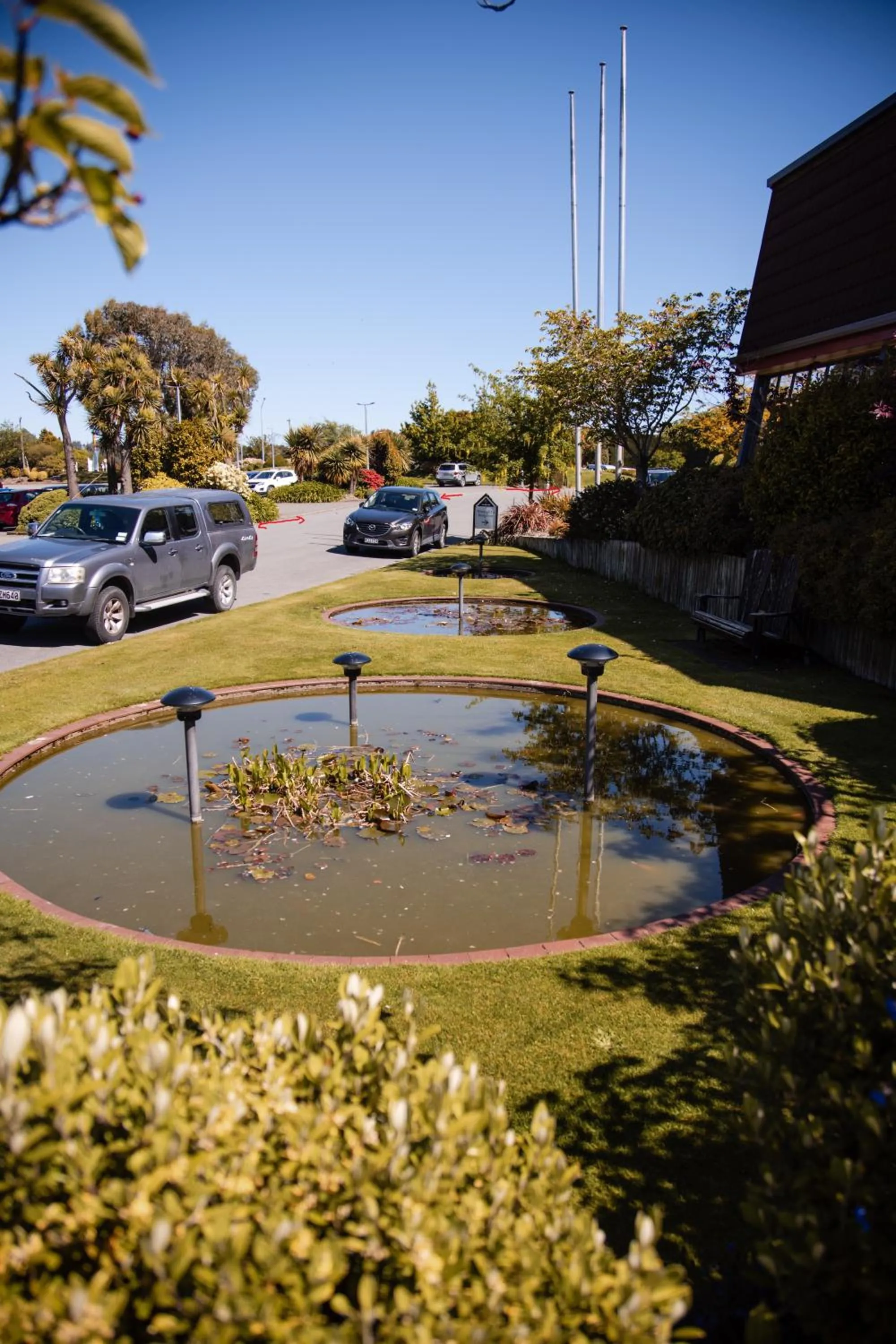 Natural landscape in Ascot Park Hotel