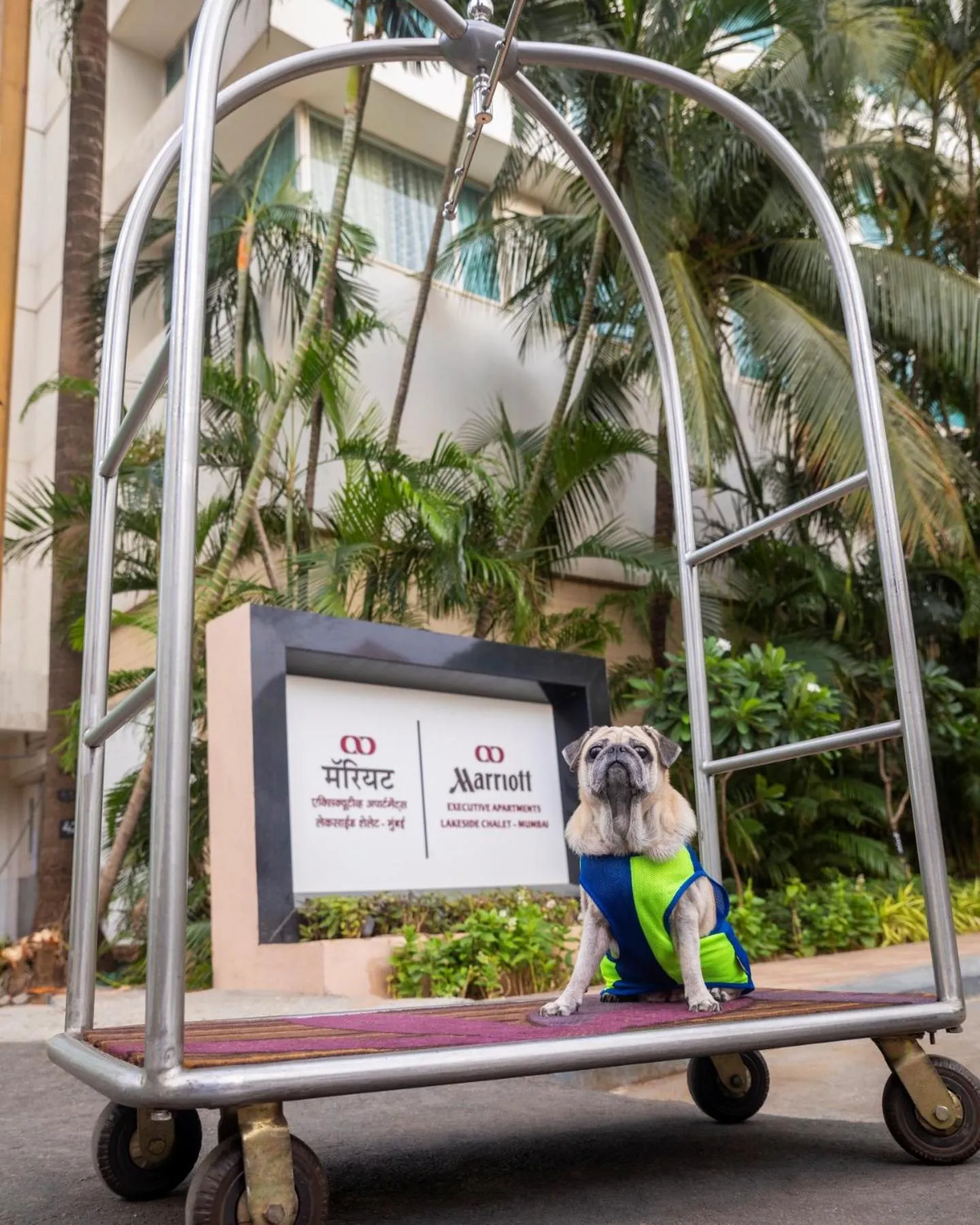 Property logo or sign in Marriott Executive Apartment - Lakeside Chalet, Mumbai
