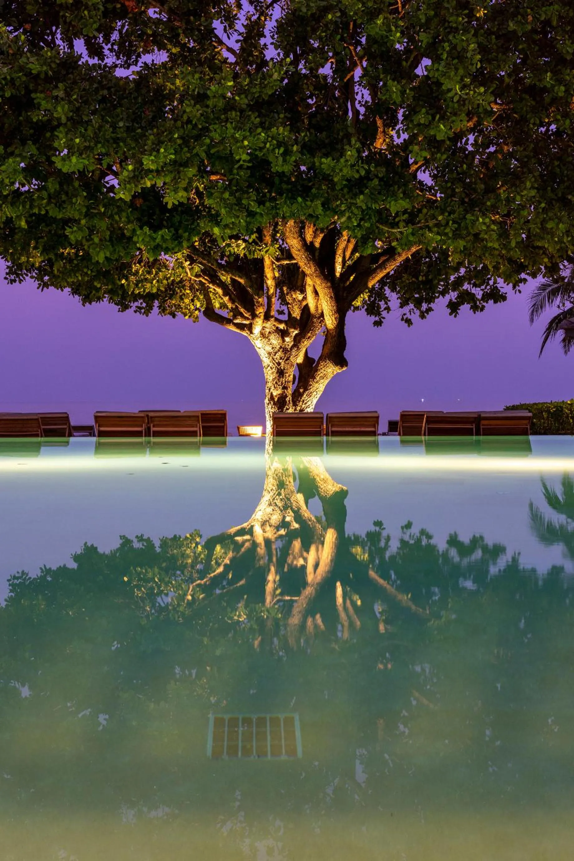 View (from property/room) in Devasom Hua Hin Resort