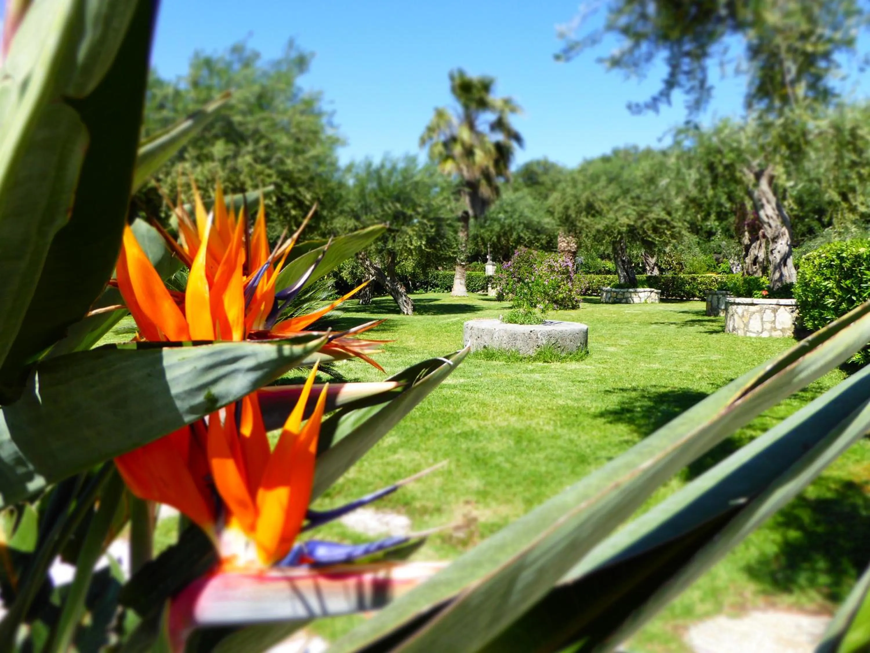 Natural landscape in Nefeli Hotel